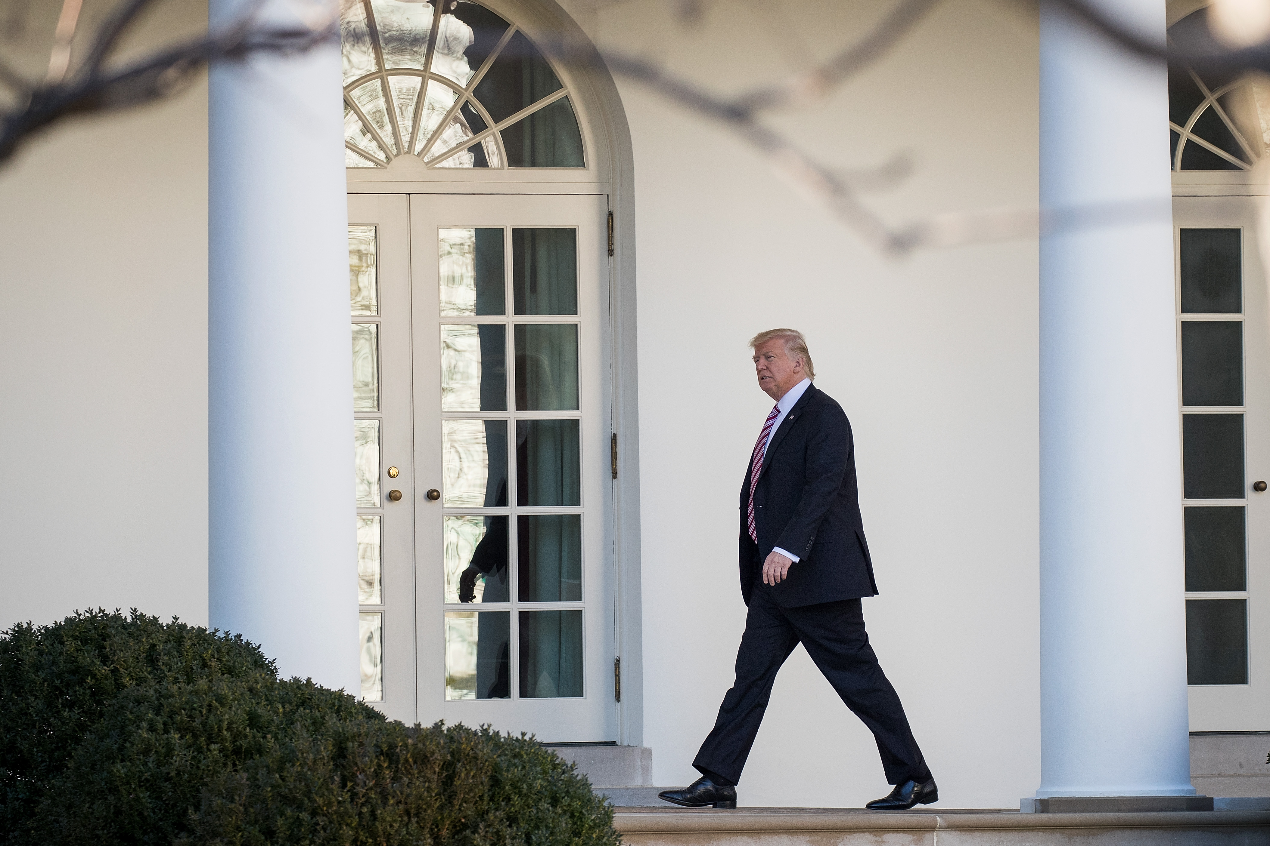 President Trump walks along the West Wing Colonnade on his way to the Oval Office at the White House, on Jan. 26, 2017. (Drew Angerer—Getty Images)
