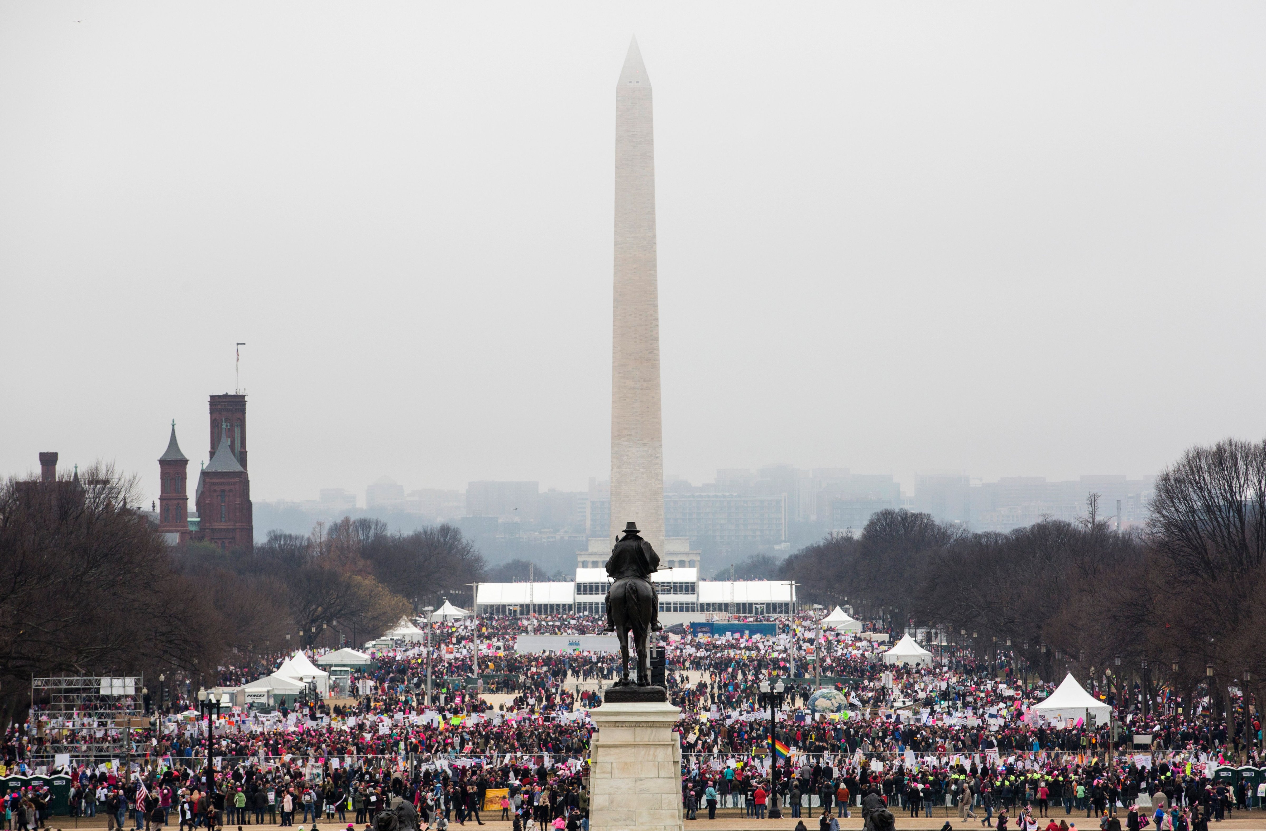 Protesters crowd the National Mall in Washington, D.C. during the Women's March on Jan. 21, 2017. (Zach Gibson—AFP/Getty Images)