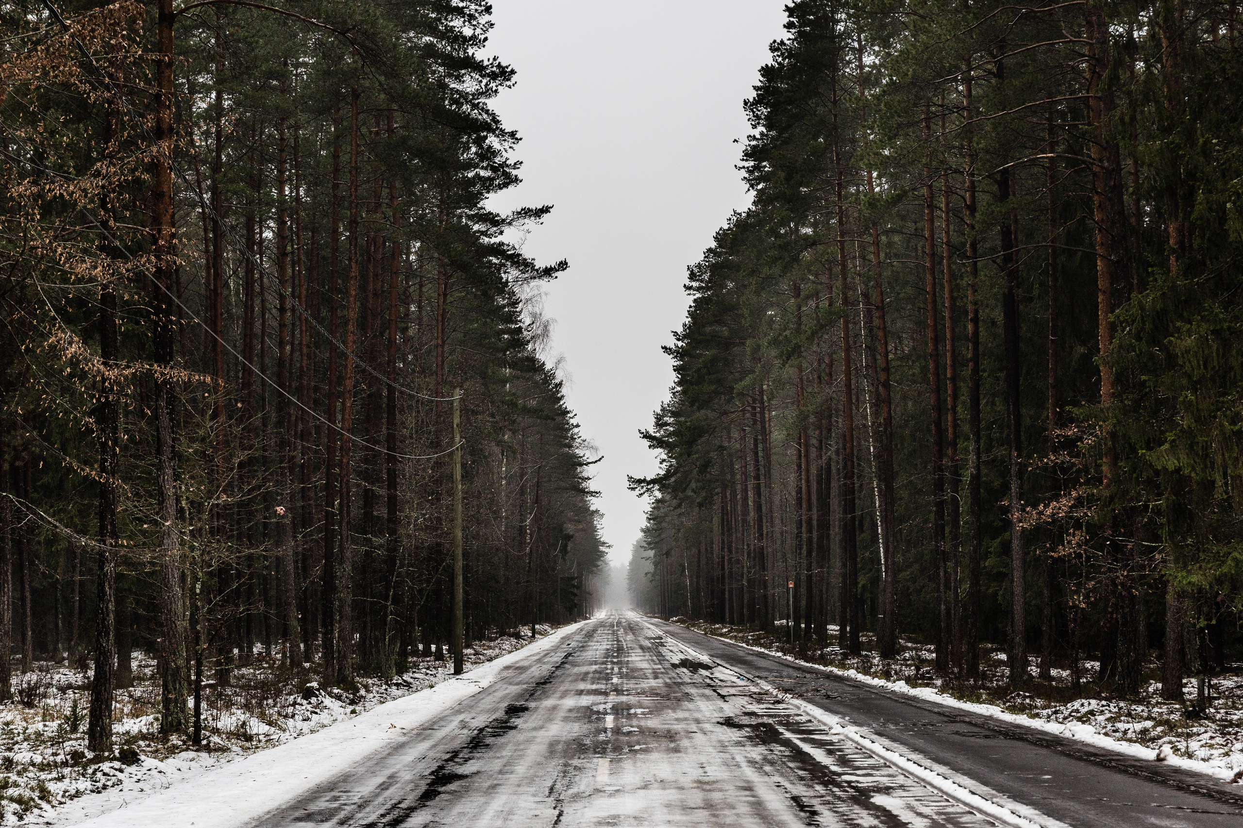 A road in the Suwalki Gap, the narrow piece of land that connects the NATO member states of Poland and the Baltic states of Lithuania, Latvia and Estonia, January 2017.