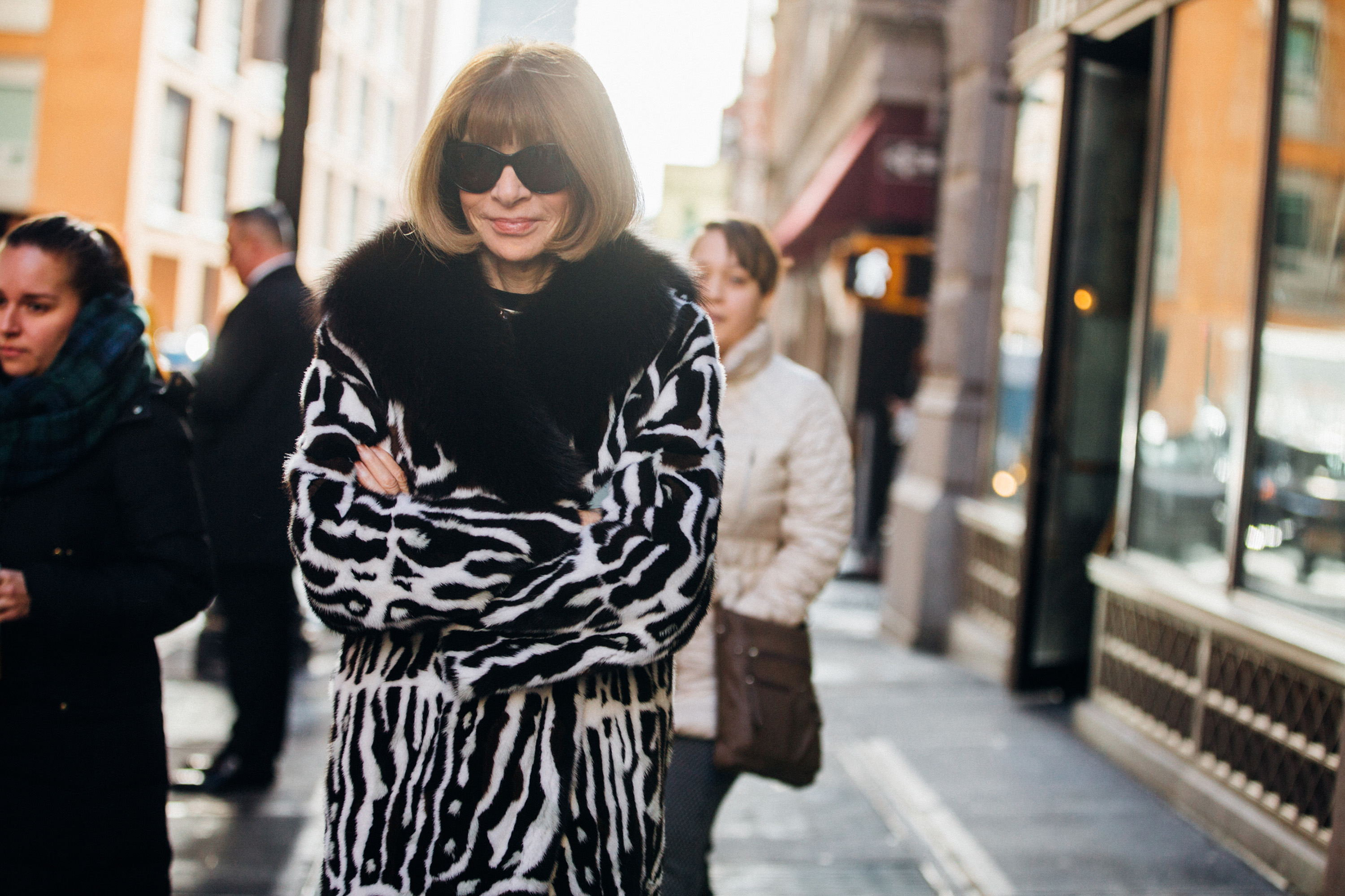 NEW YORK, NY - JANUARY 11:  Anna Wintour wears a zebra fur jacket outside the Valentino Pre-Fall 2017 Fashion Show at Beekman Hotel on January 11, 2017 in New York City.  (Photo by Melodie Jeng/WireImage) (Melodie Jeng—WireImage)