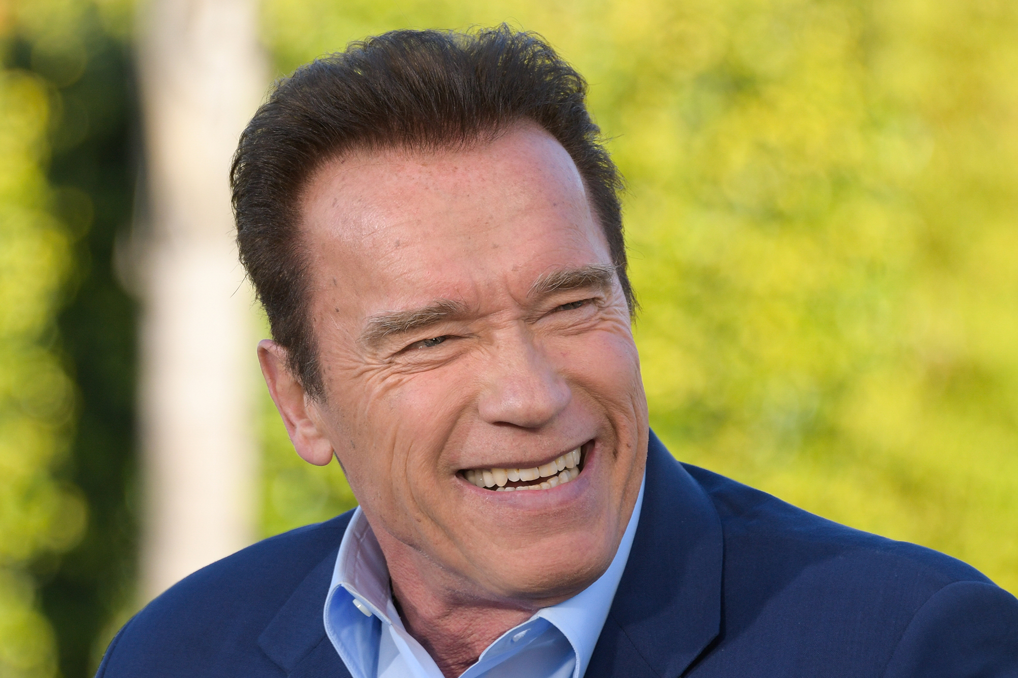Arnold Schwarzenegger, on Jan. 30, 2017 in Universal City, Calif. (Noel Vasquez—Getty Images)