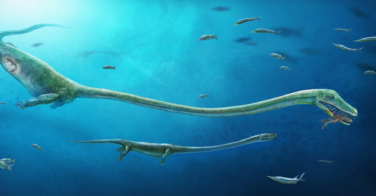 Динозавр жил в воде. Танистрофей динозавр. Морские динозавры. Водные динозавры. Древние морские рептилии.