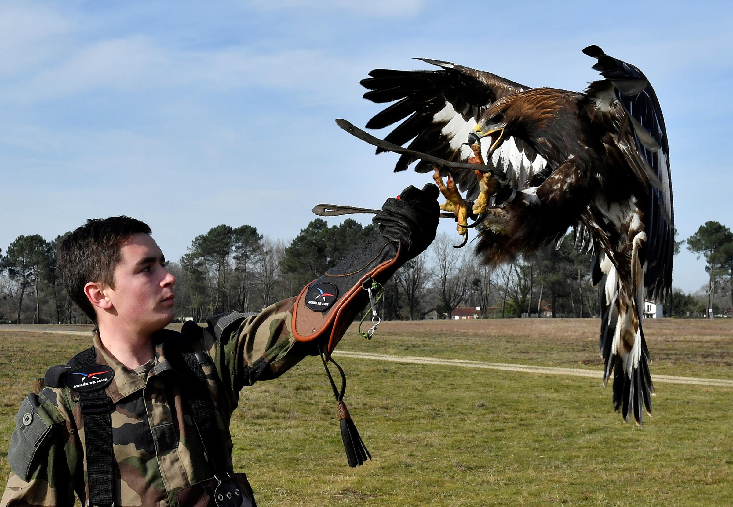 FRANCE-ARMY-DEFENCE-ANIMALS