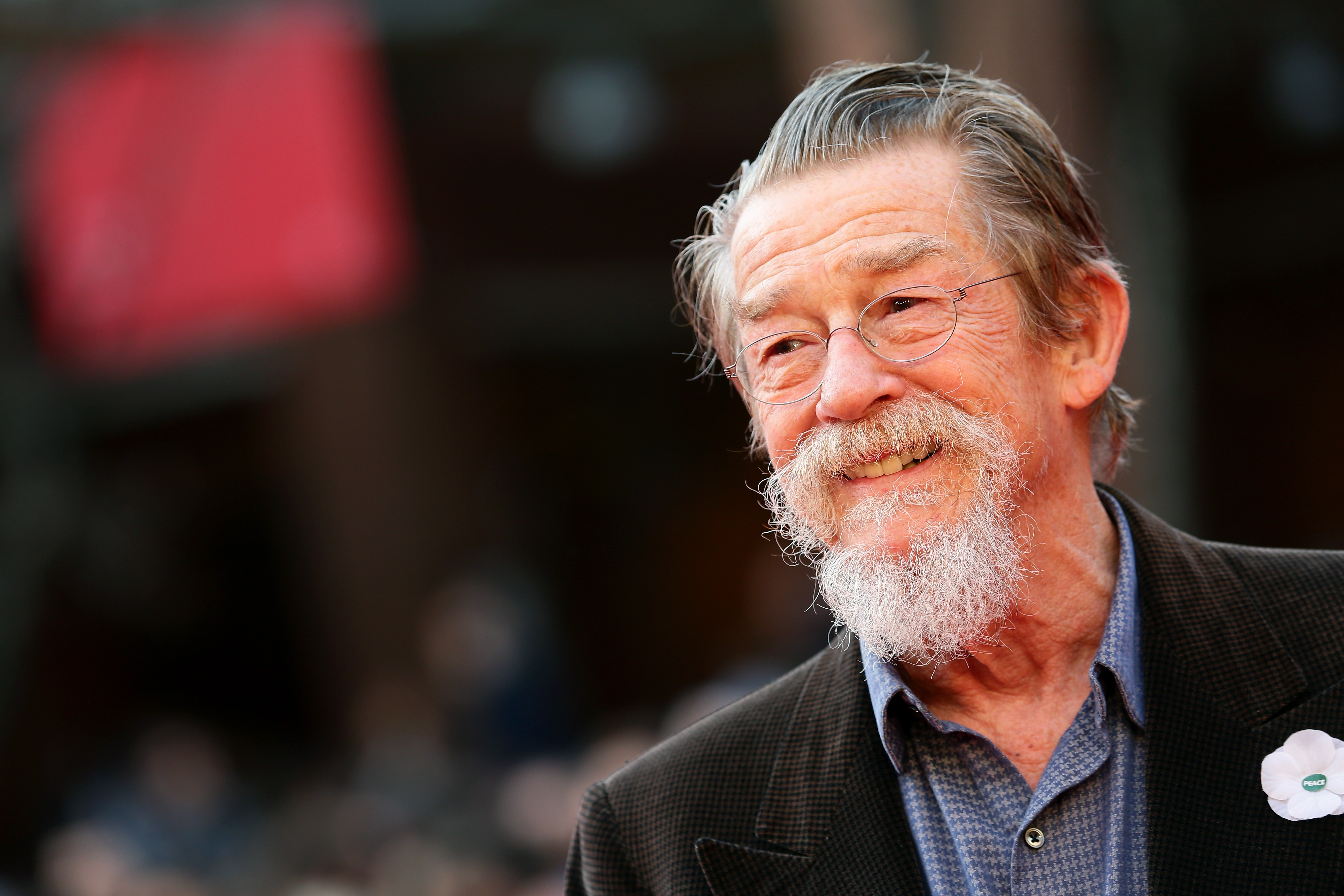John Hurt appears on the red carpet during the 8th Rome Film Festival at Auditorium Parco Della Musica on November 9, 2013 in Rome, Italy. (Vittorio Zunino Celotto—Getty Images)