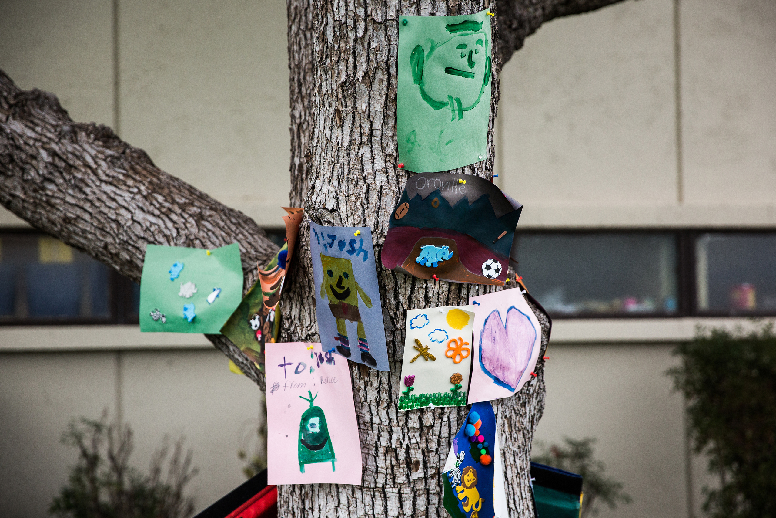 Children's artwork hangs on a tree at the evacuation center at the Butte County Fairgrounds in Chico, Calif., on Feb. 15, 2017.