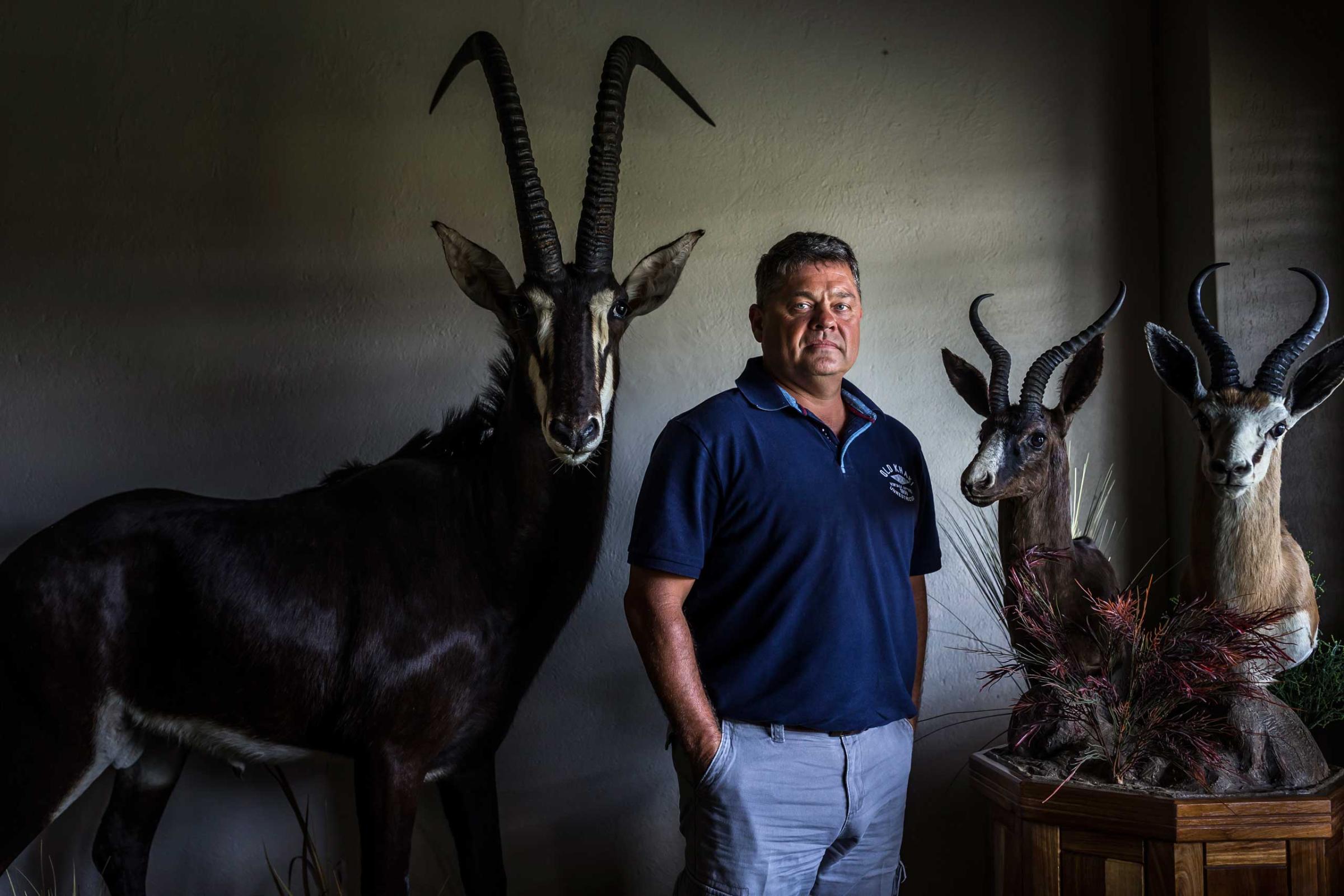 POLOKWANE, SOUTH AFRICA: Dawie Groenewalt, South Africa's alleged Rhino horn kingpin and the subject of a 6 year old court case involving multiple charges related to illegal Rhino horn theft and money laundering amongst other charges. He is seen on his game farm in Polokwane where he breeds high-end game for sale and hunting purposes. Groenewalt has also been charged and arrested in the USA on animal trophy charges. Groenwalt denies any wrong doing. He is one of the driving forces behind the court effort to legalize the rhino trade in South Africa. If horn was to be legalized, most of his charges would disapear and he would be in a prime position as a breeder to make significant money from rhino horn. He owns two large properties for breeding and hunting purposes and he hosts many international hunters on those properties. He states freely that he believes South Africa's recent decision not to apply to CITES for the legalization of trade in horn is a death knell for rhino in the wild in South Africa. He further alleges that Kruger National Park, the largest repository for Rhino in the world, vastly over-reports their rhino numbers. Kruger is Groenwalt's largest source for Rhino, he has won repeated tenders for rhino from the park. He is also connected to John Hume, the worlds largest Rhino breeder and one of three partners in Groenwalt's legal efforts to legalize Rhino horn for export to Asia. He claims to receive multiple calls from both Chinese and Vietnamese buyers on a monthly basis, all asking for horn. He speaks of taking representatives from both nations to John Hume's place to show them Hume's cache of horns from dehorning. This cache is allegedly worth in excess of 300 000 000 South African Rand, around 20-40 million dollars. He argues in favour of breeding and dehorning for export, stating that John Hume alone can supply over 1000 kilograms of horn every year.