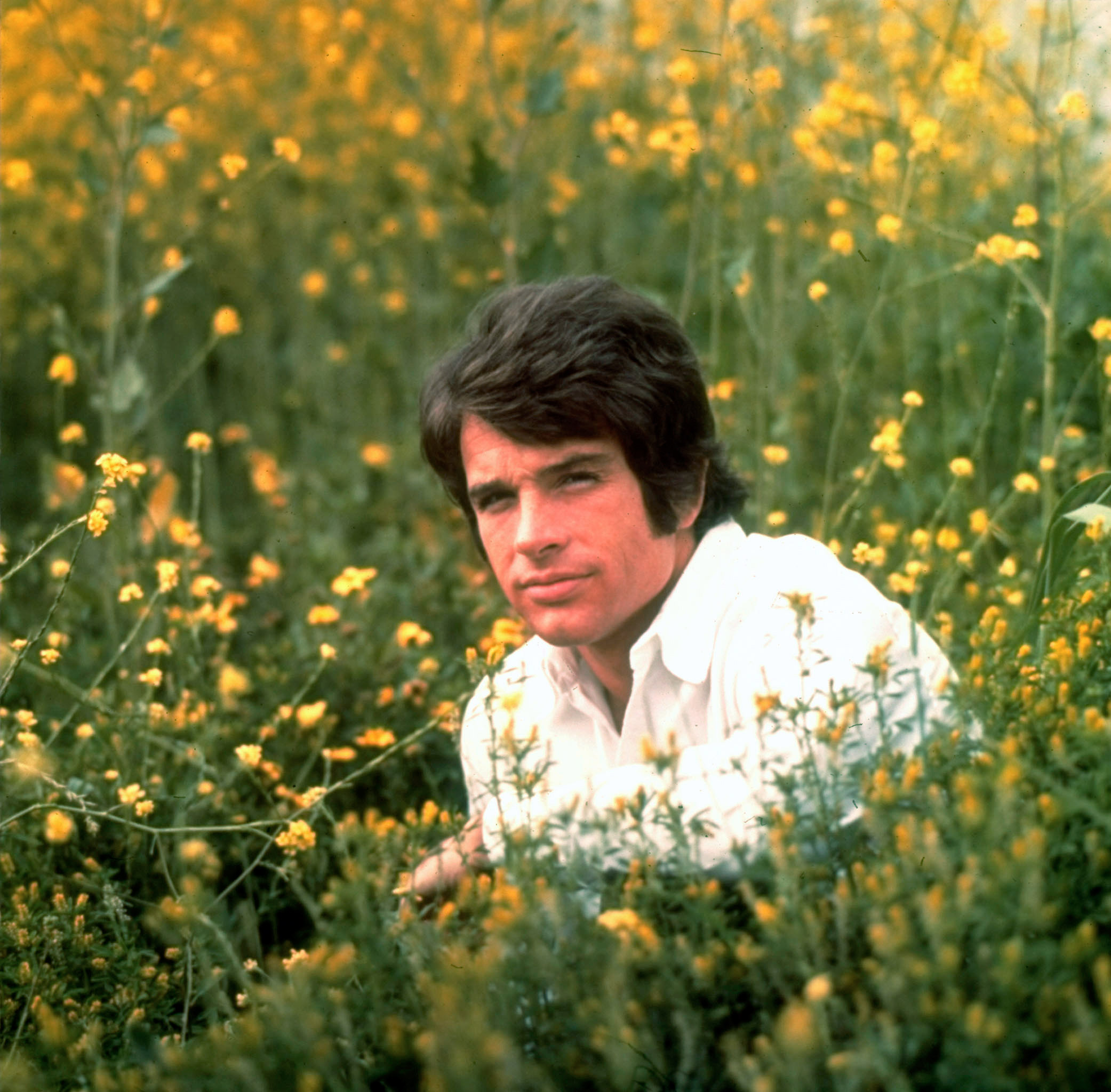 Warren Beatty sitting in field of flowers in 1967.