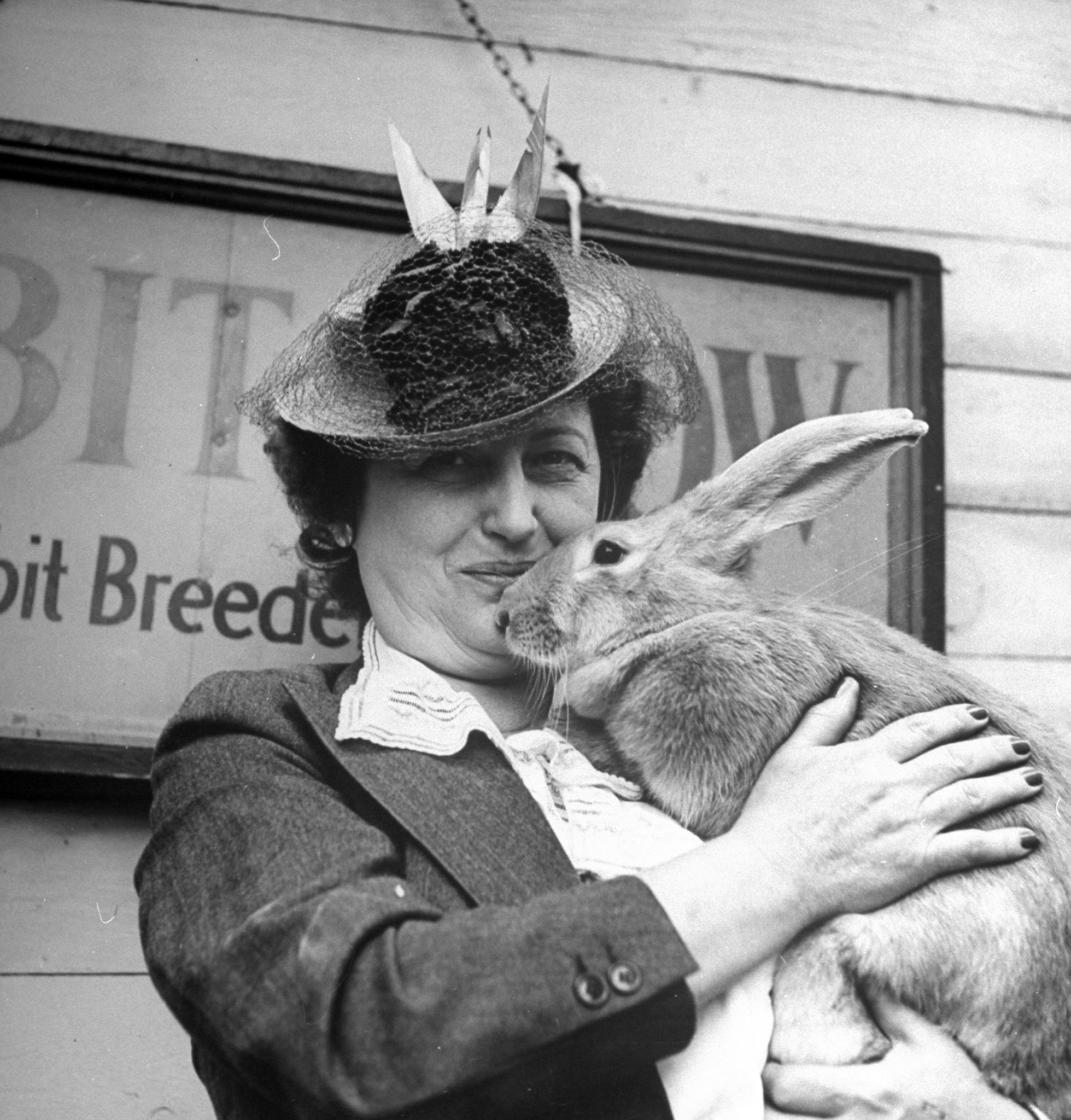 Long Island Rabbit Breeders Association Rabbit show, circa 1943.