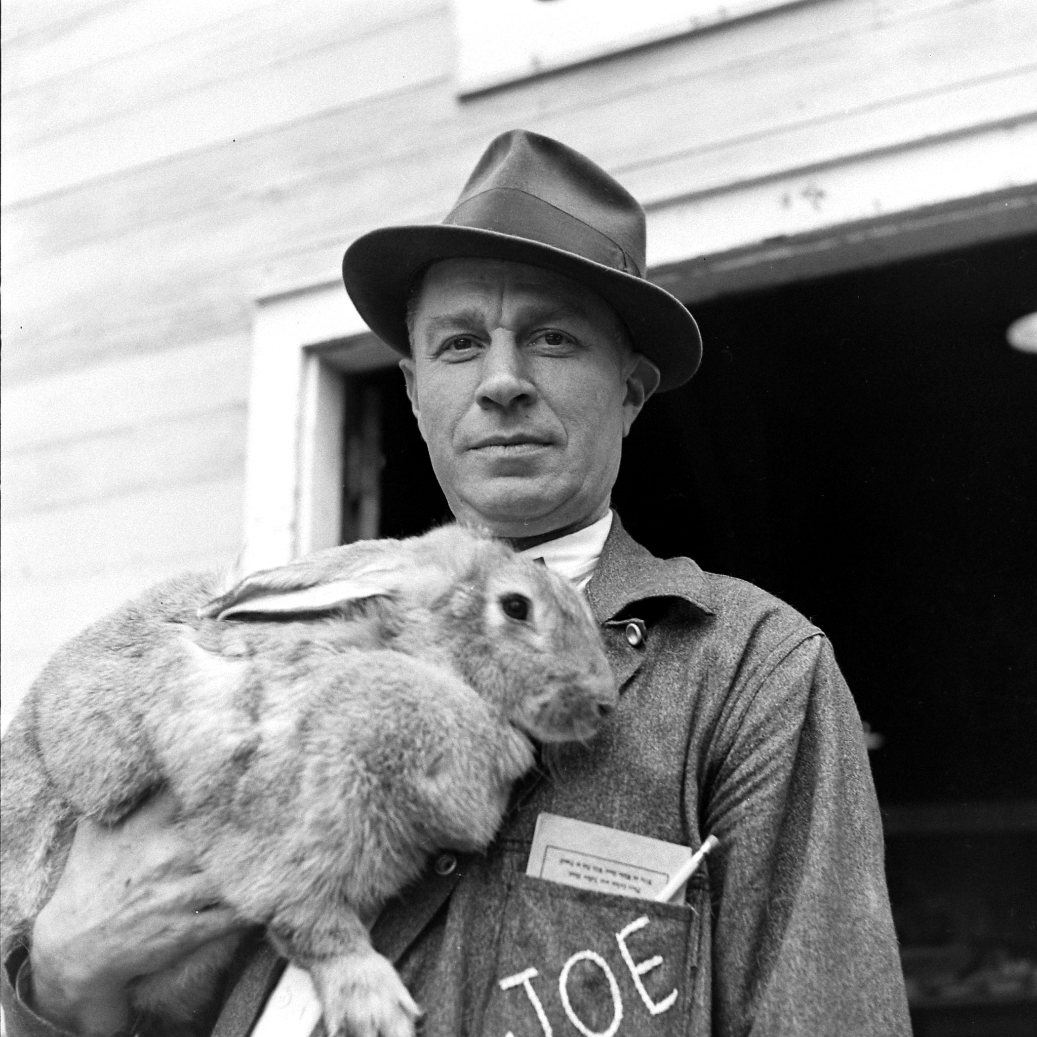 Long Island Rabbit Breeders Association Rabbit show, circa 1943.