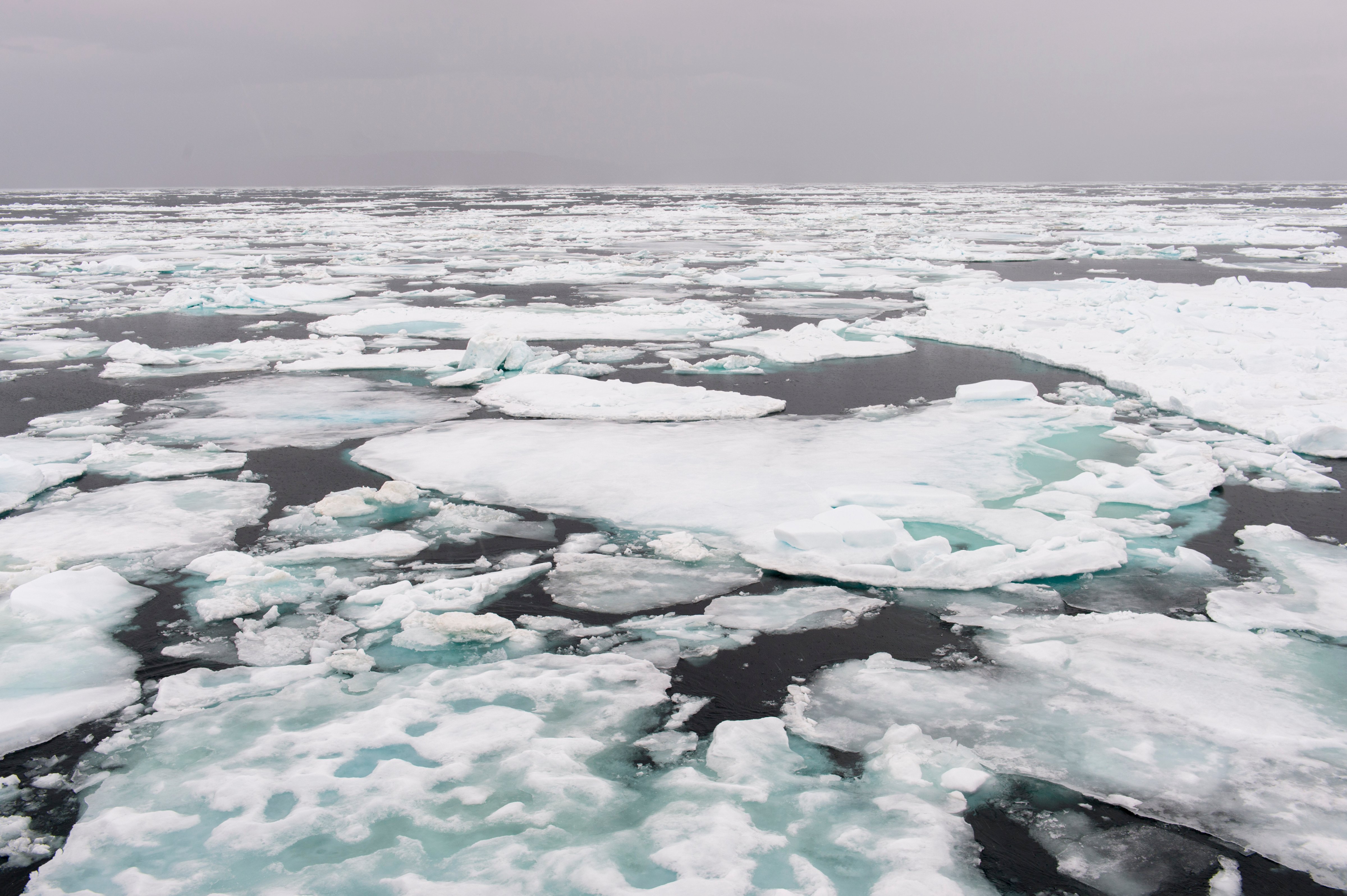 View of the pack ice south of the island of Edgeoya in Svalbard, Norway. (Wolfgang Kaehler—LightRocket via Getty Images)