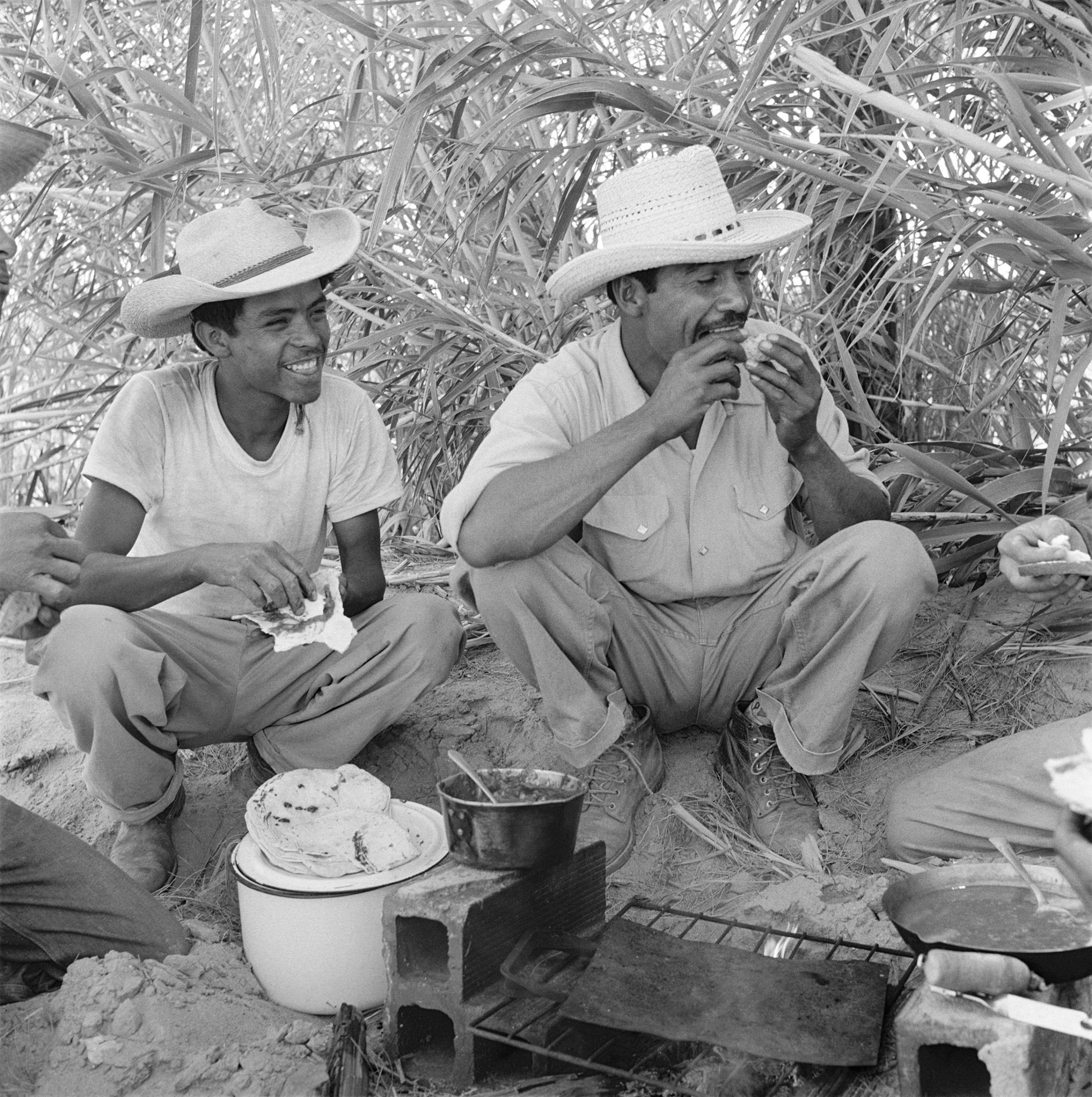 Tamayo and his fellow workers take a break for food during their work day on a ranch in California, 1957. Hands from Mexico" - The Saturday Evening Post - August 10, 1957 - volume 230, number 6)1957© 1978 Sid Avery