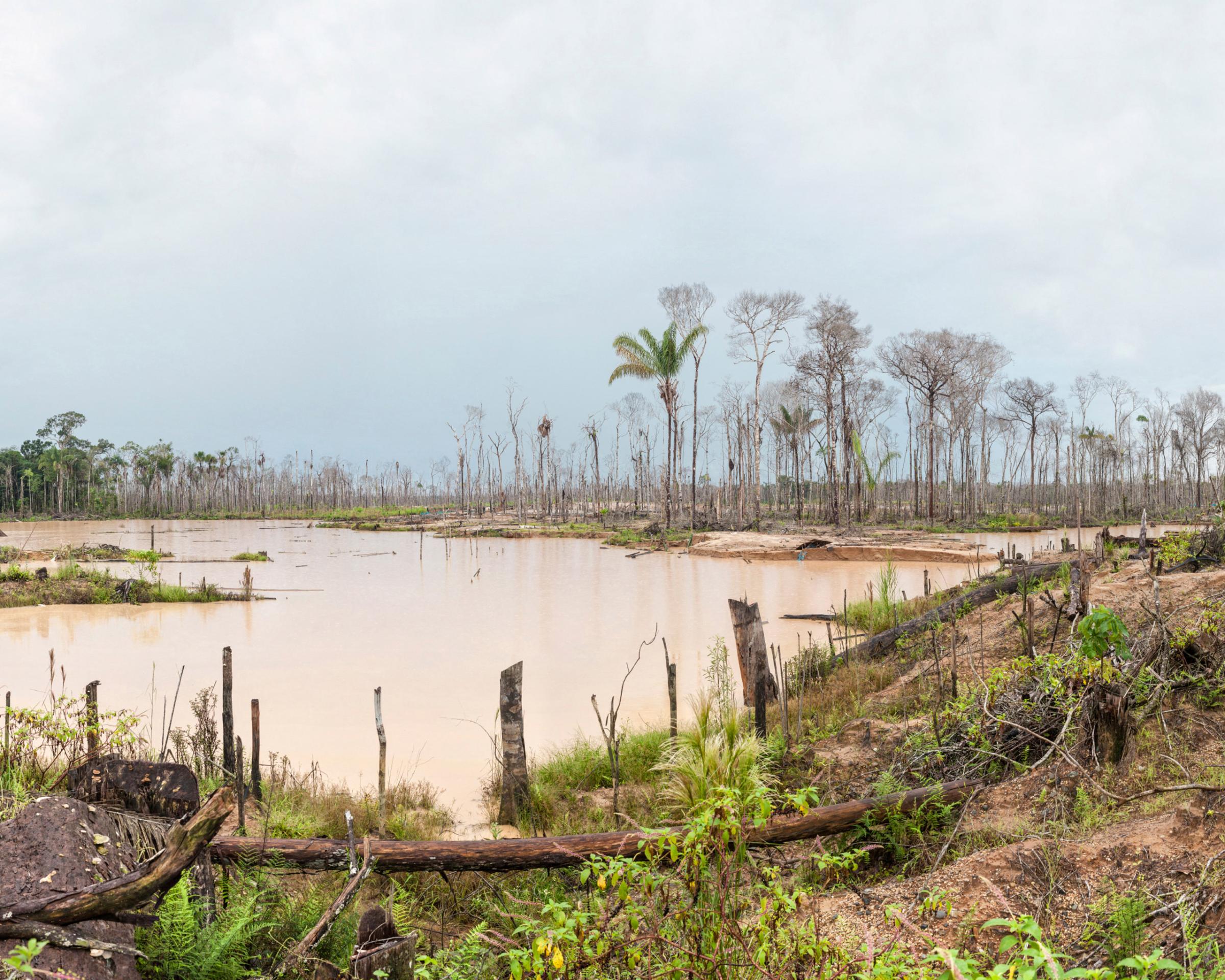 Illegal mining in Madre de Dios, Peru, is devastating the jungle and natural environment.