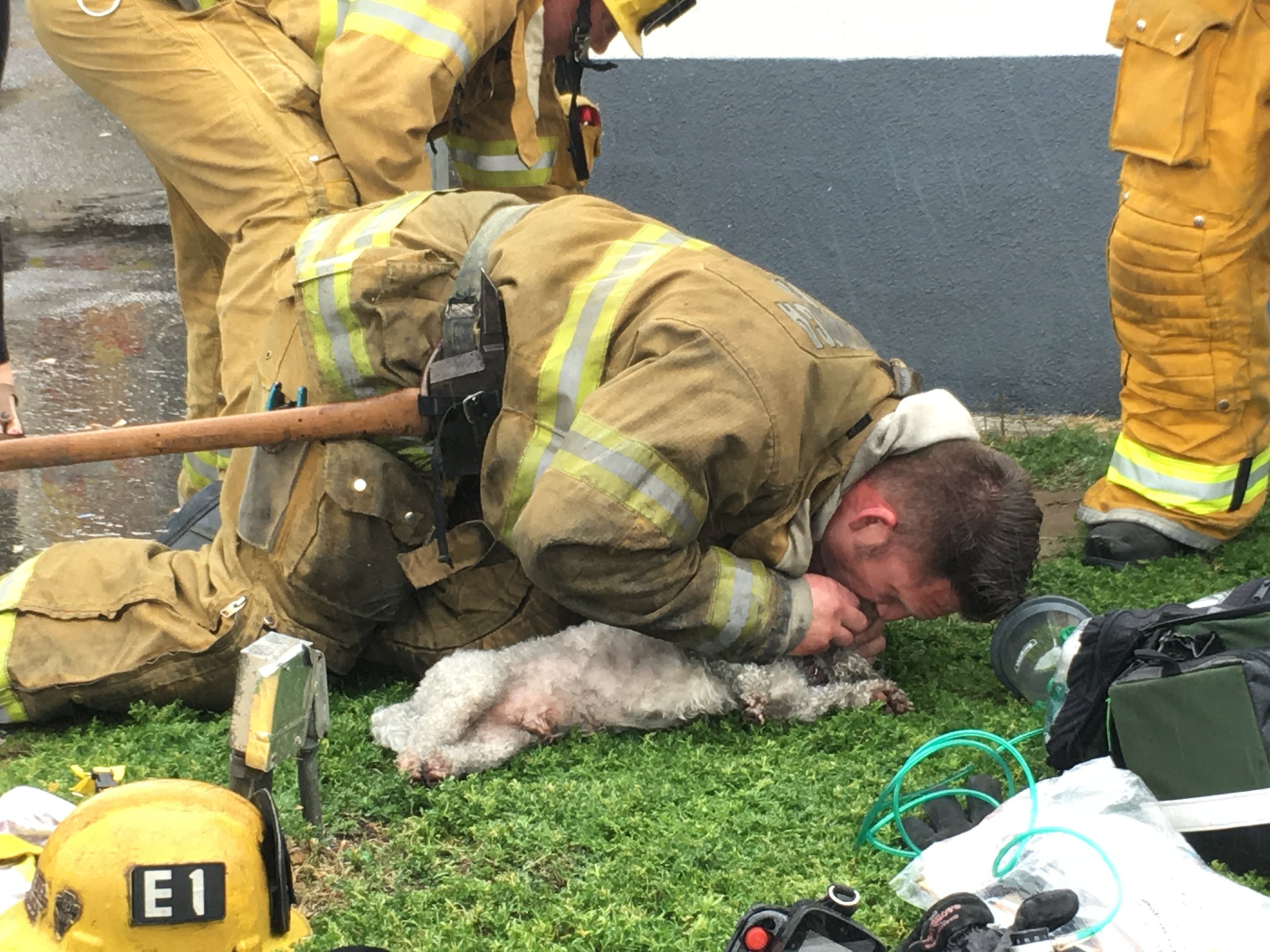 A Santa Monica firefighter resuscitated a dog after performing CPR on it following an apartment fire.