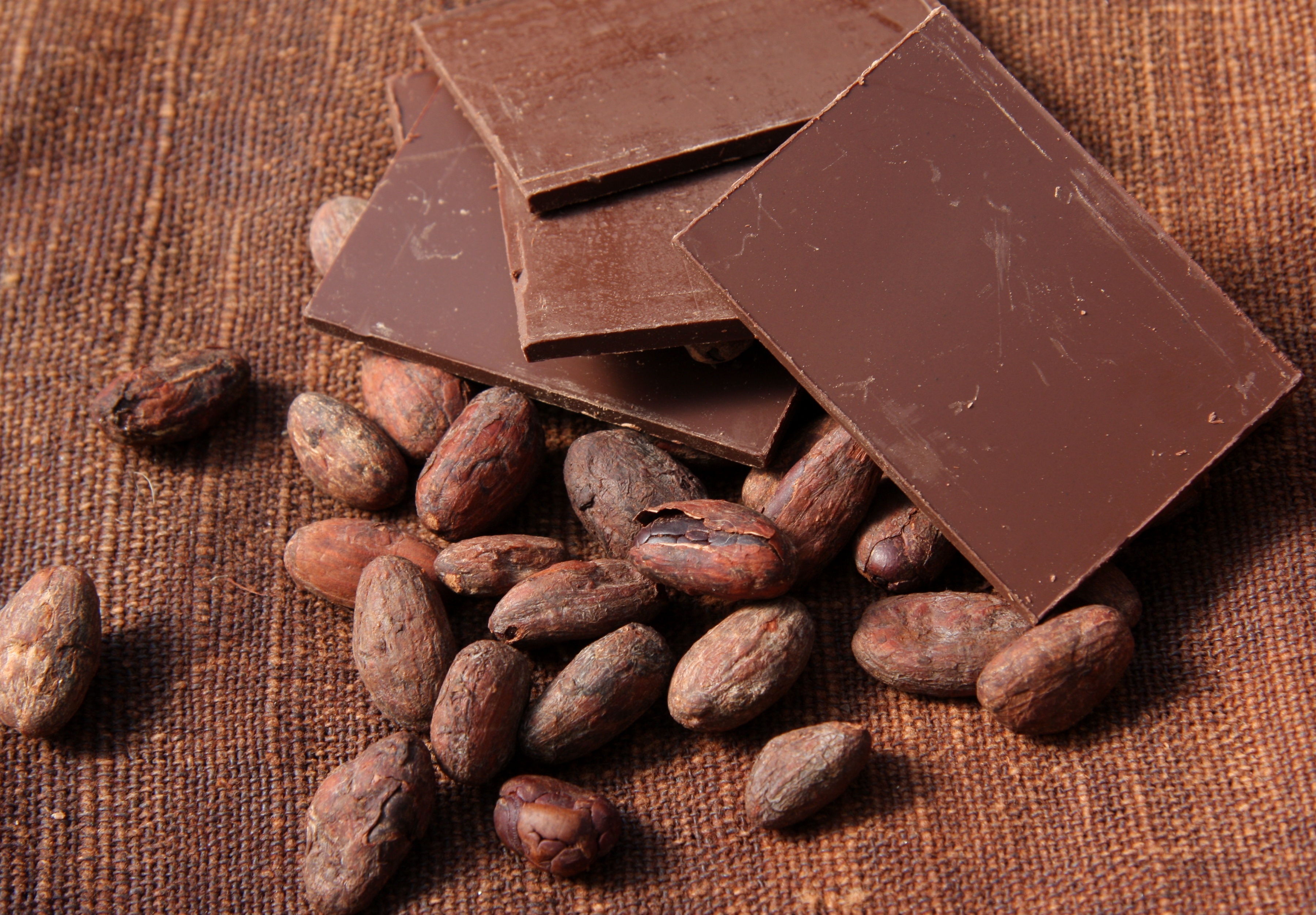 Chocolate and cocoa  beans