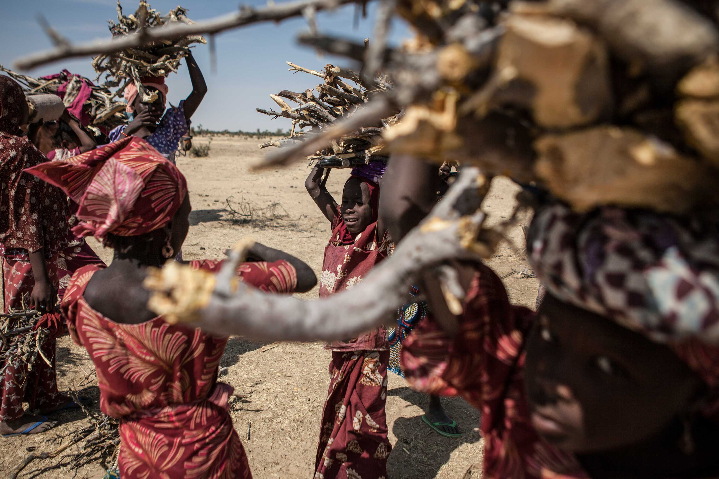 A group of girls, originally from Nigeria, carry remaining branches and shrubbery from trees that have been cut by other refugees outside of Guam Guam Camp in Diffa, Niger.
