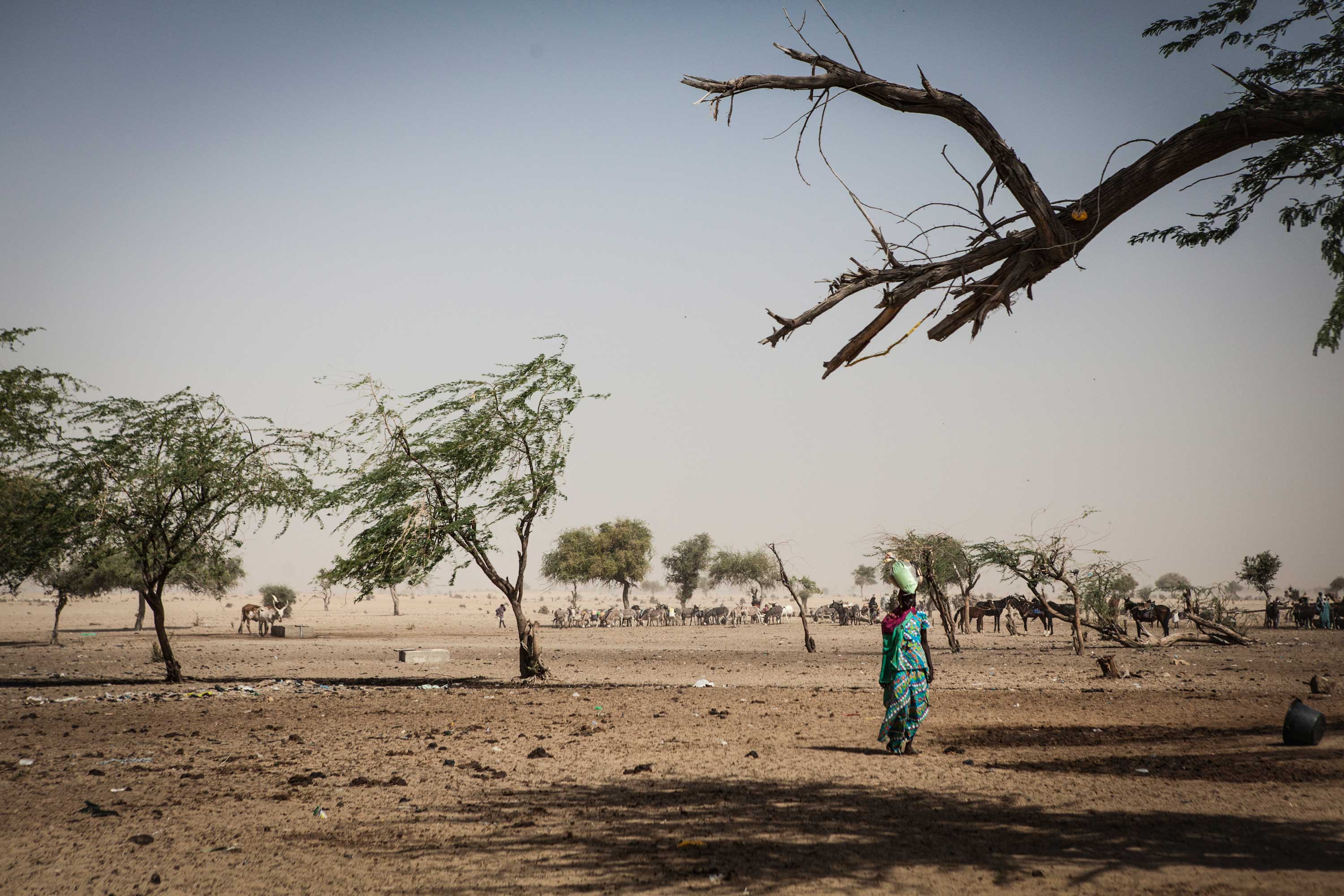 A woman walks through Kindjandi IDP camp in Diffa, Niger.