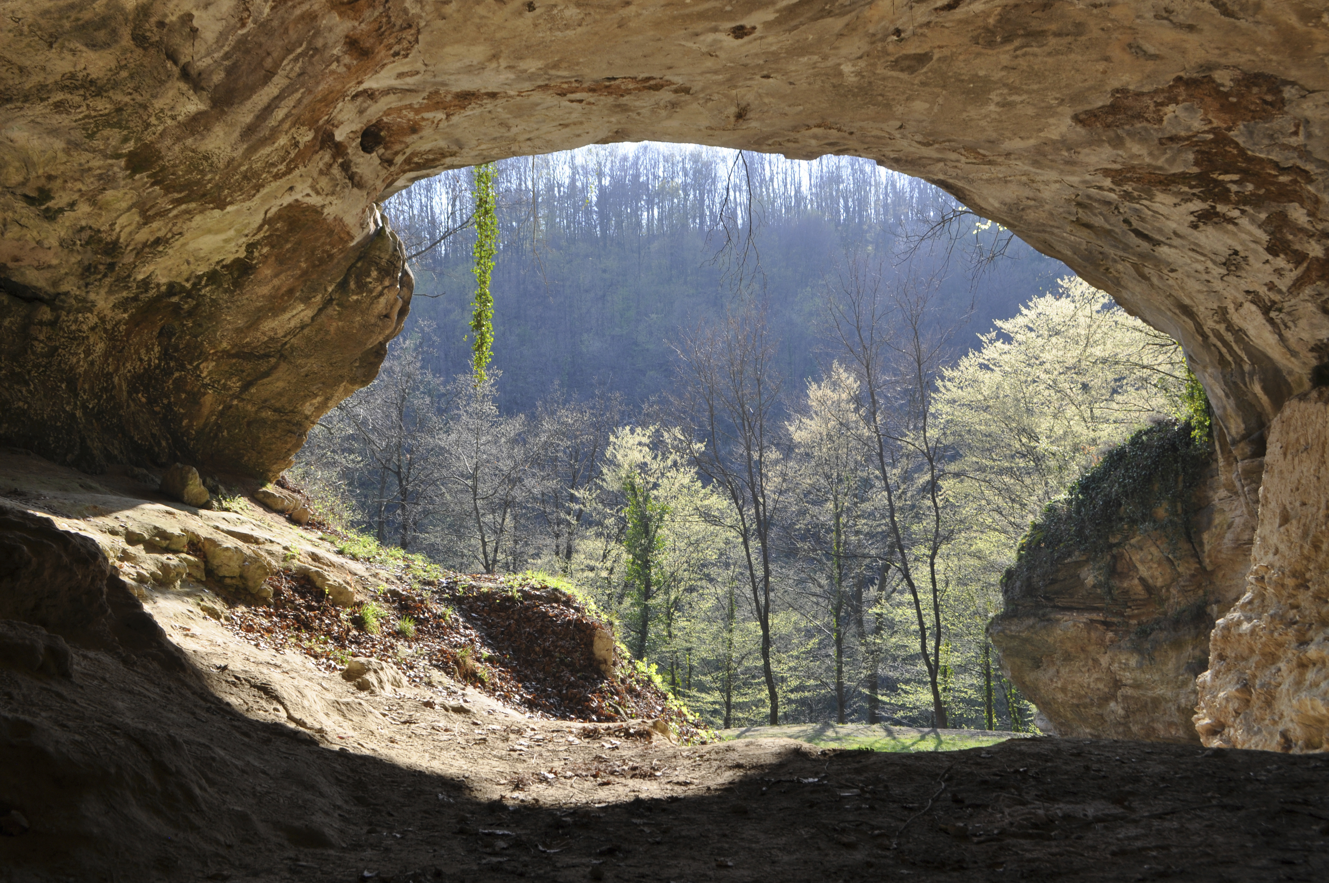 Scientists have succeeded in extracting DNA of ancient humans from sediment in the Vindija Cave in Croatia. (Johannes Krause—Max Planck Institute for Evolutionary Anthropology/AP)