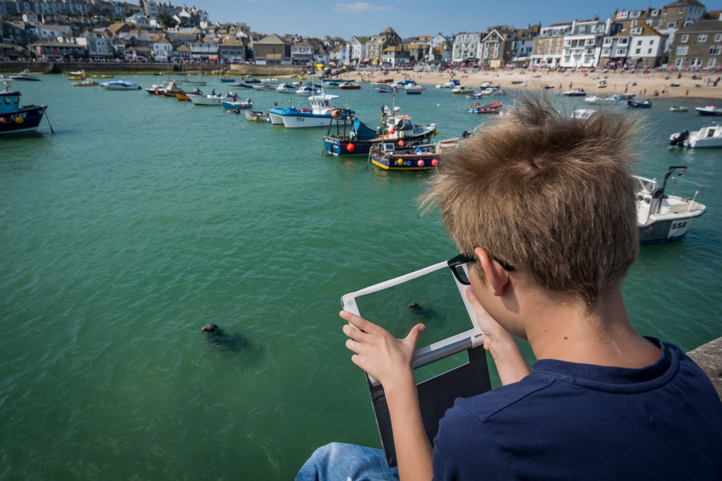 UK, Cornwall, boy photographing a seal at St Ives with his digital tablet