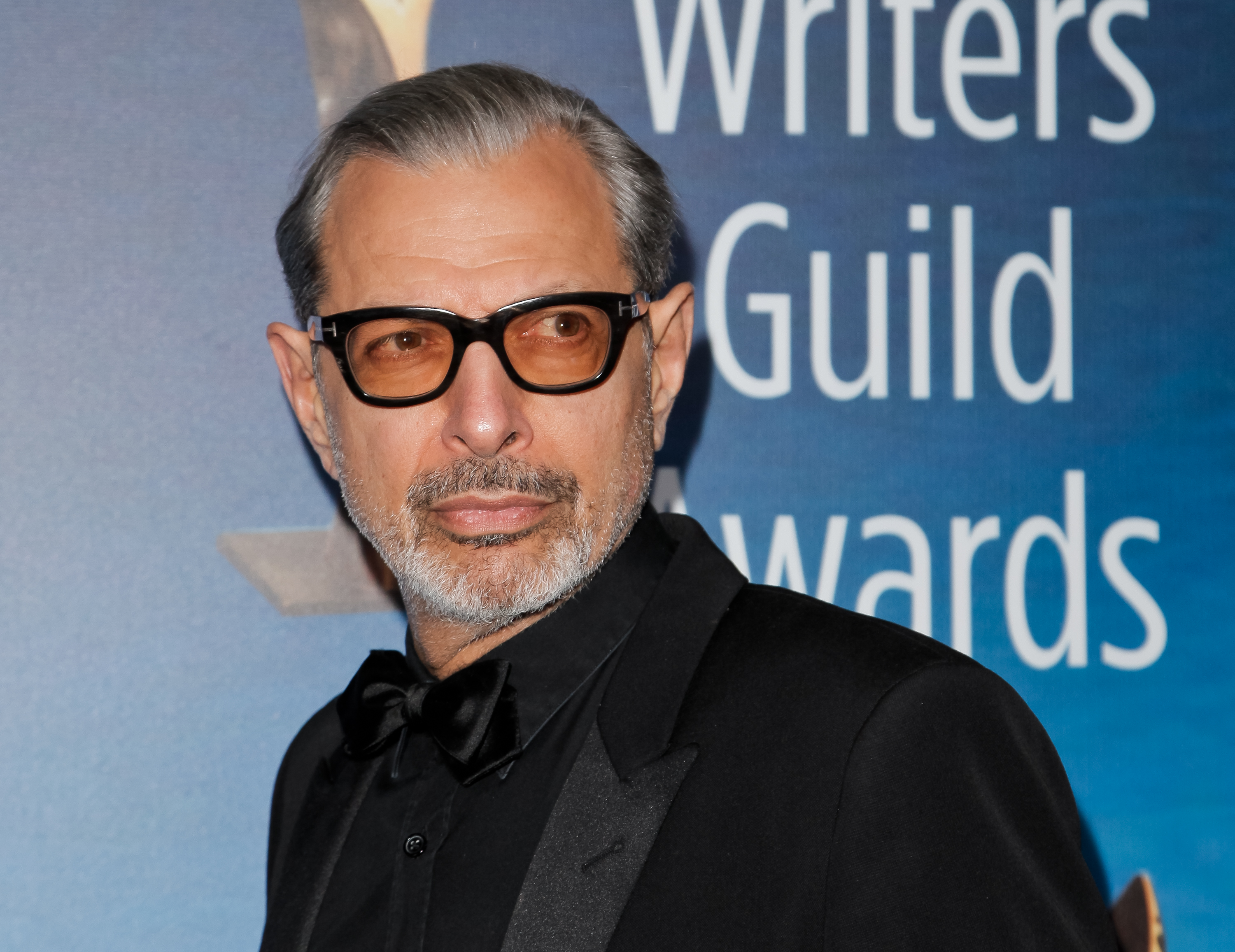 Jeff Goldblum attends the 2017 Writers Guild Awards L.A. Ceremony on Feb. 19, 2017 in Beverly Hills, California. (Tibrina Hobson—Getty Images)