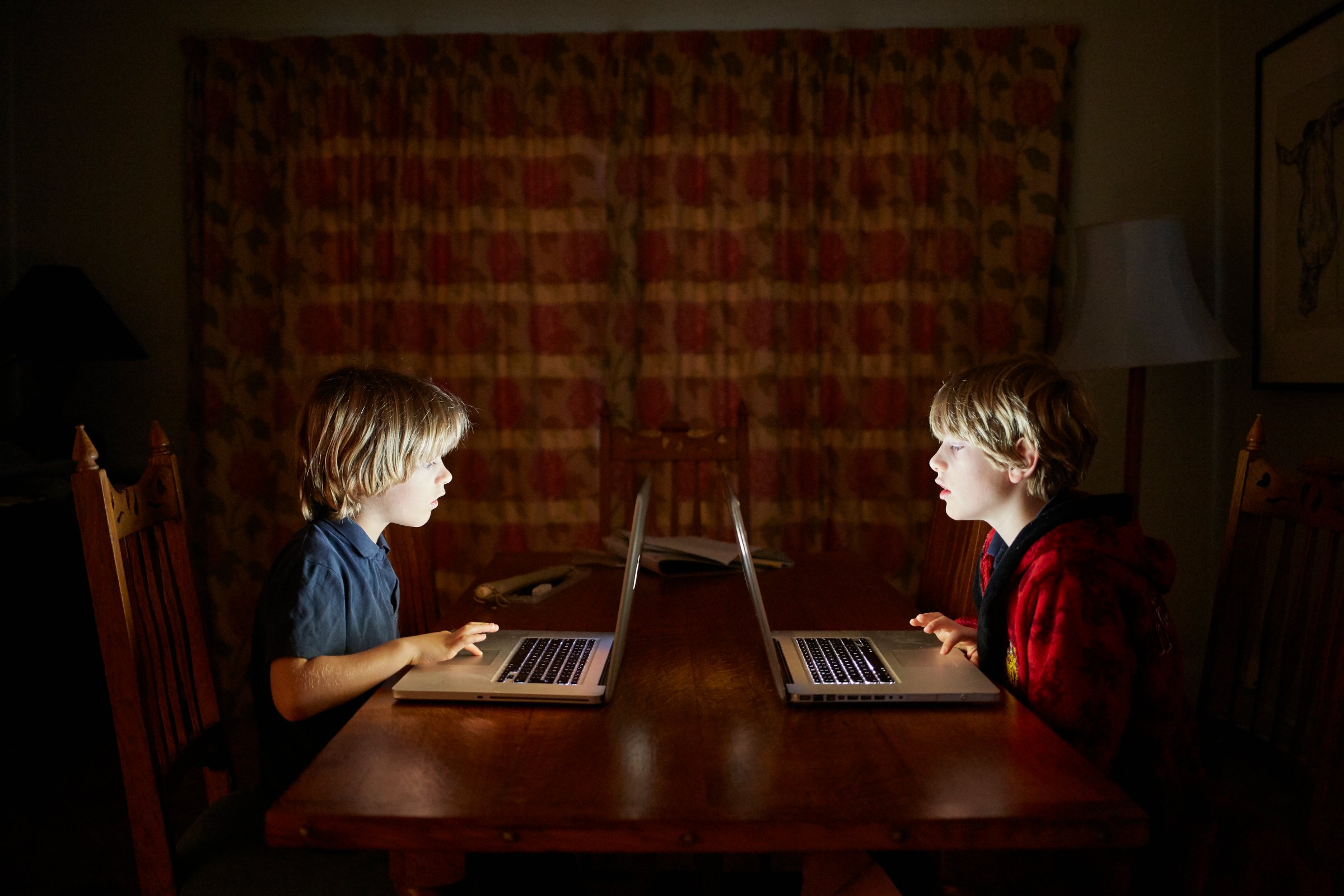Two brothers work on laptop computers at home