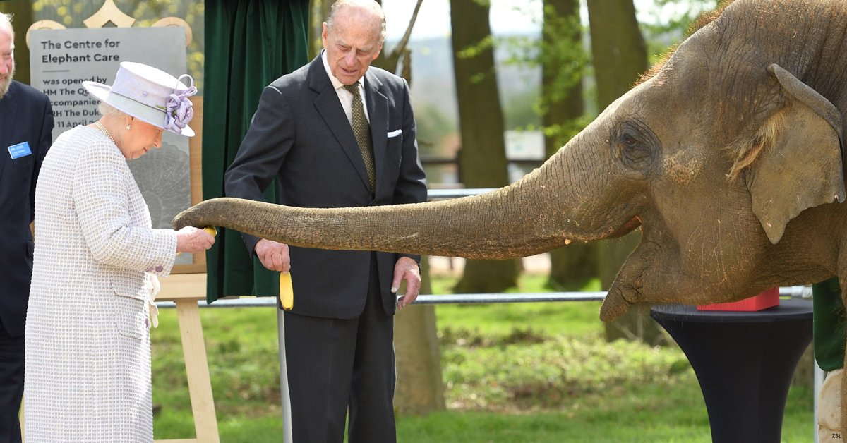 Queen Elizabeth Plays With Elephants, Feeds Them Bananas | Time