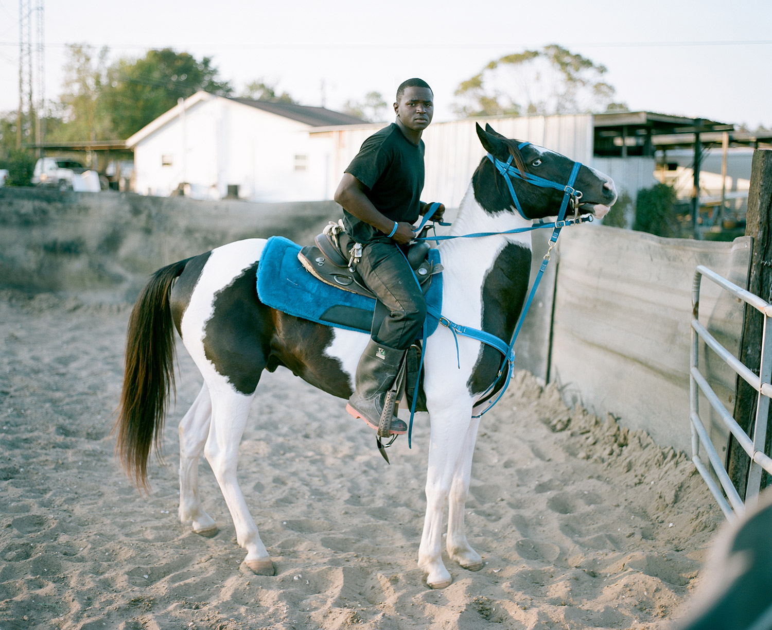 Jesse trains and preps his horse named "Dream" for Mardi Gras. 2014