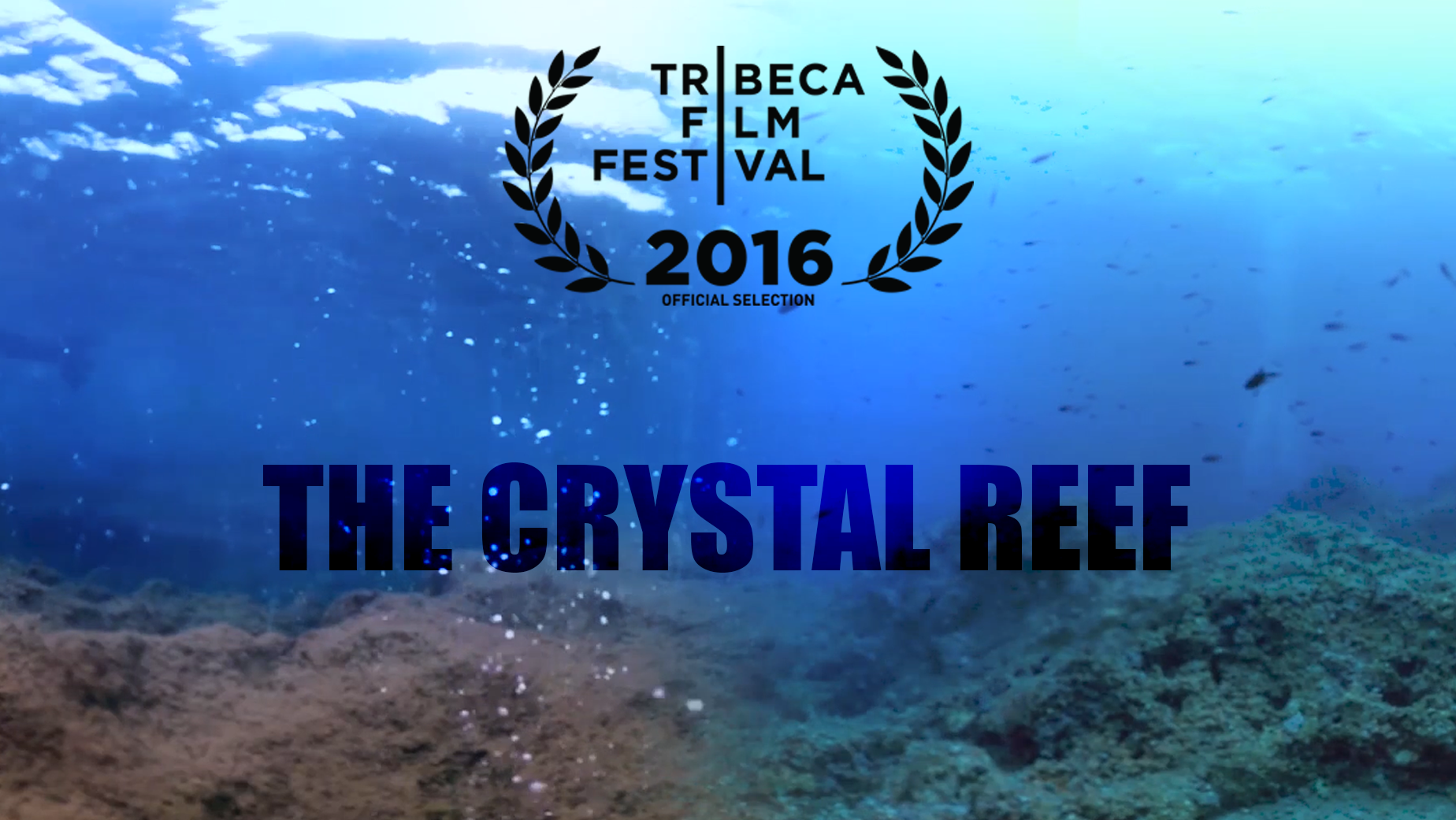 The Crystal Reef poster
