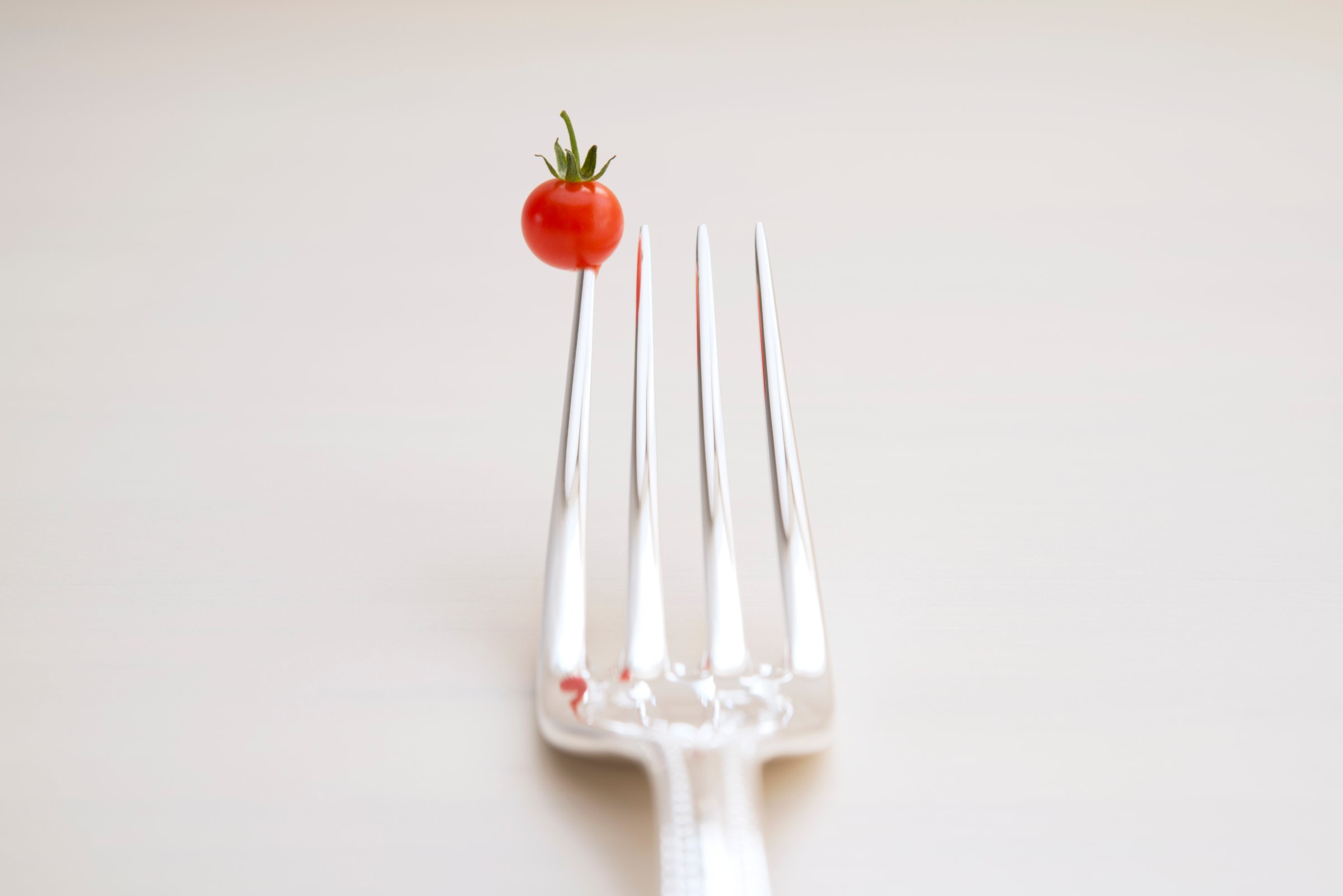 Micro tomato on fork point