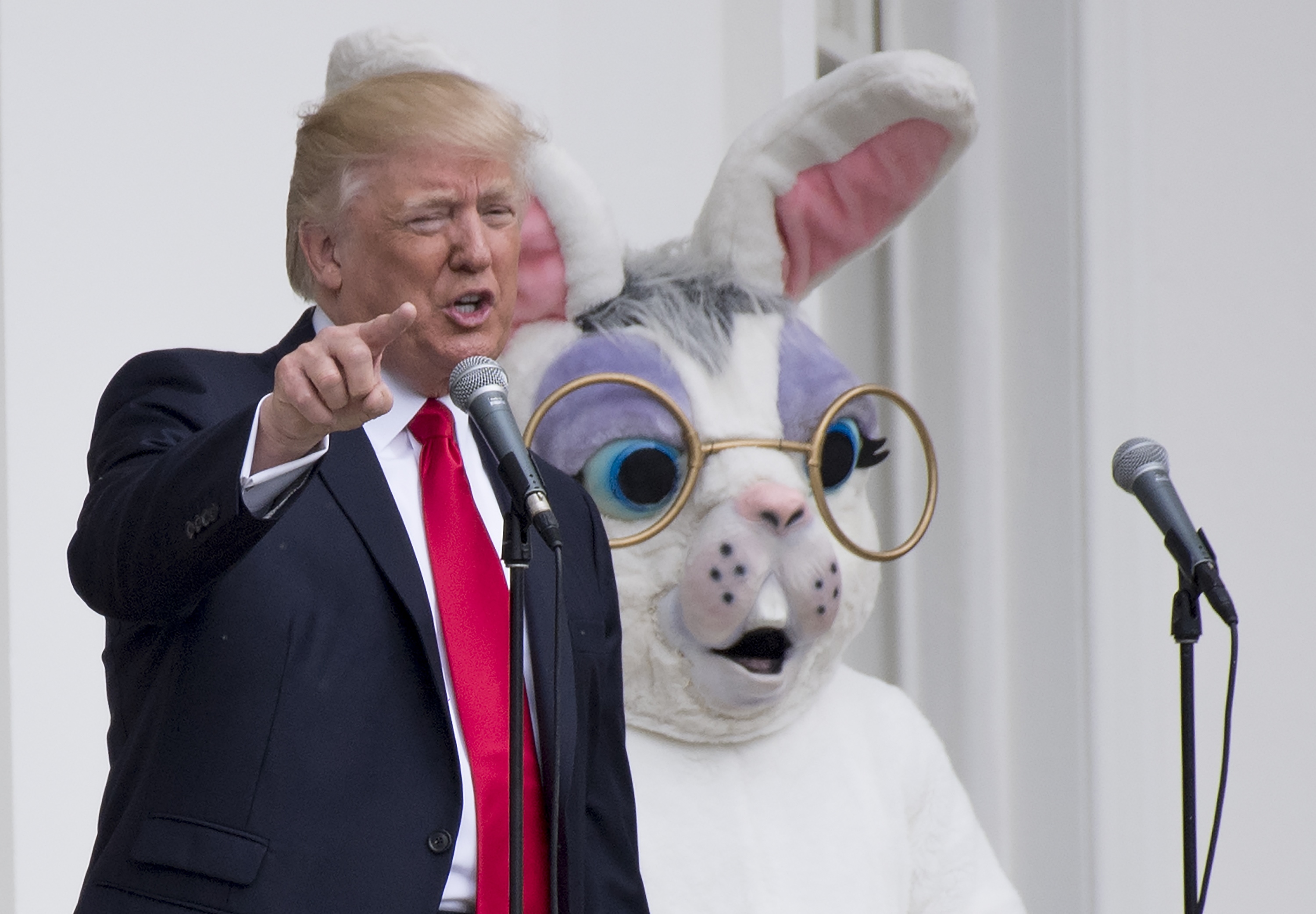 trump-bunny.jpg