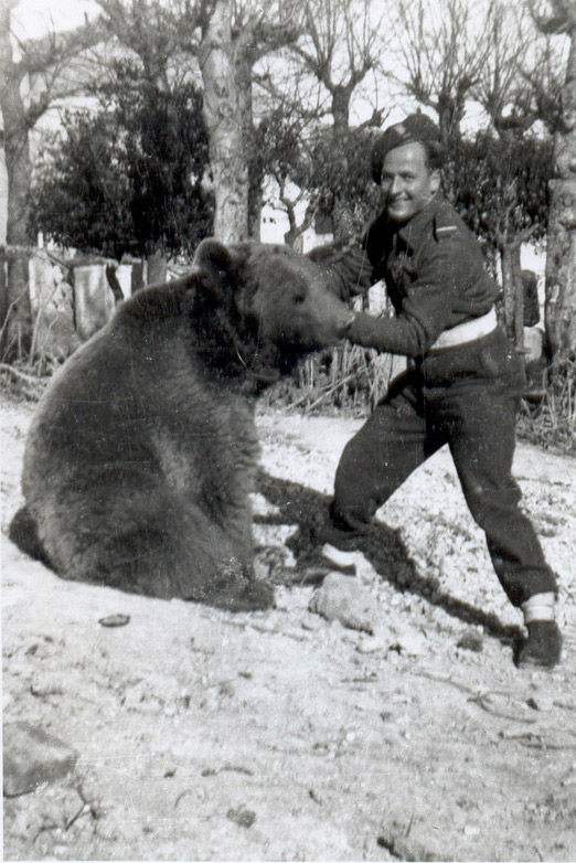 Dymitr Szawlugo, a Polish soldier who helped care for the bear, in Italy in late 1944 after the Battle of Monte Cassino. (Courtesy of Andy Szawlugo)