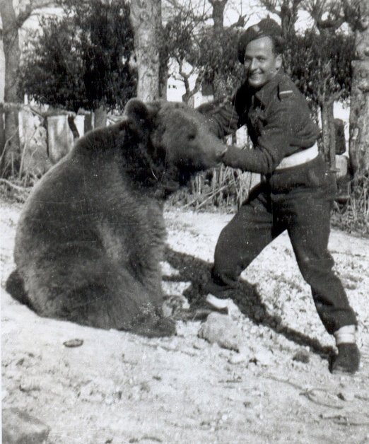 Wojtek the Bear: Surprising World War II Animal Hero | Time