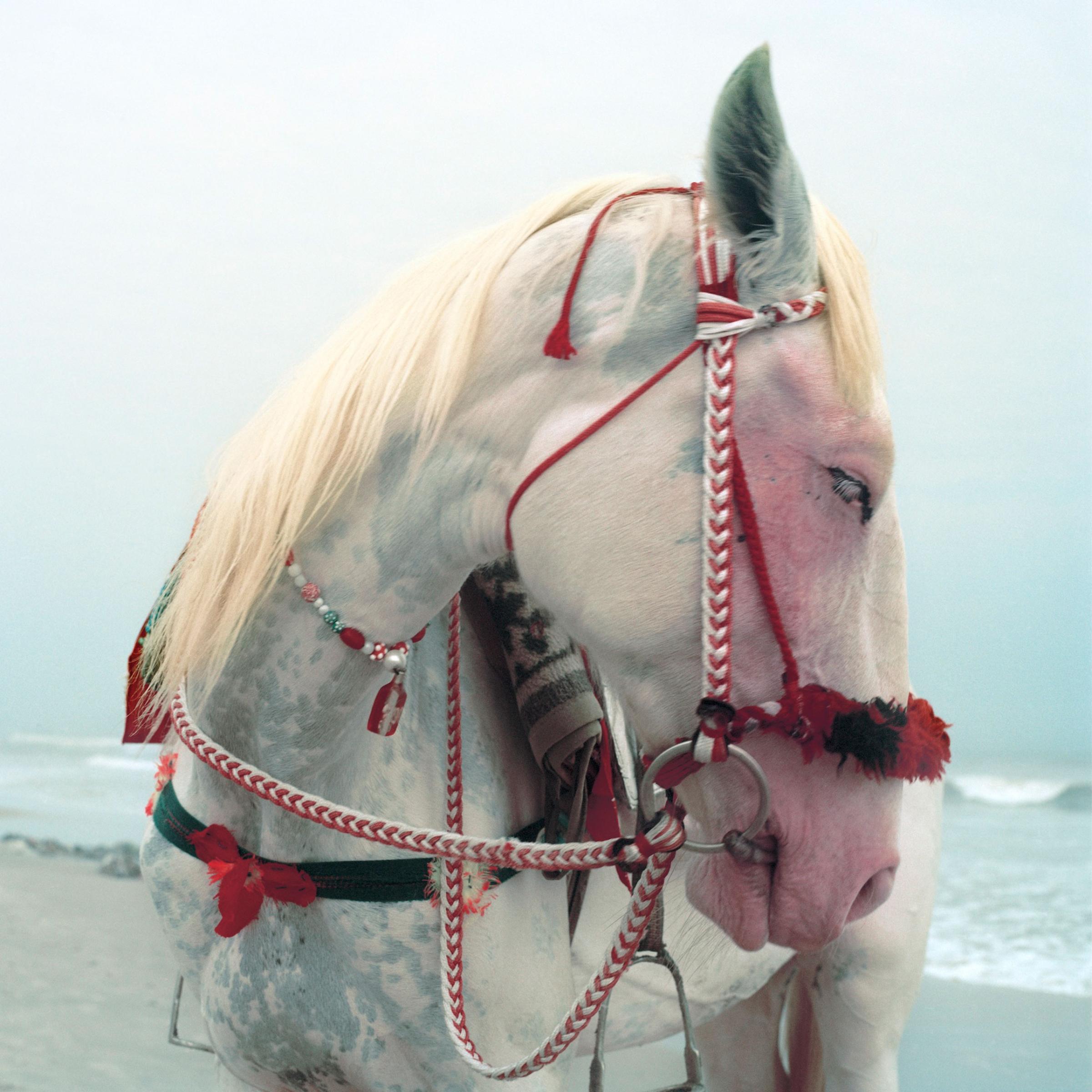 10-Mimi-Cherono-Ng-ok-Untitled-2014-white-horse-beach