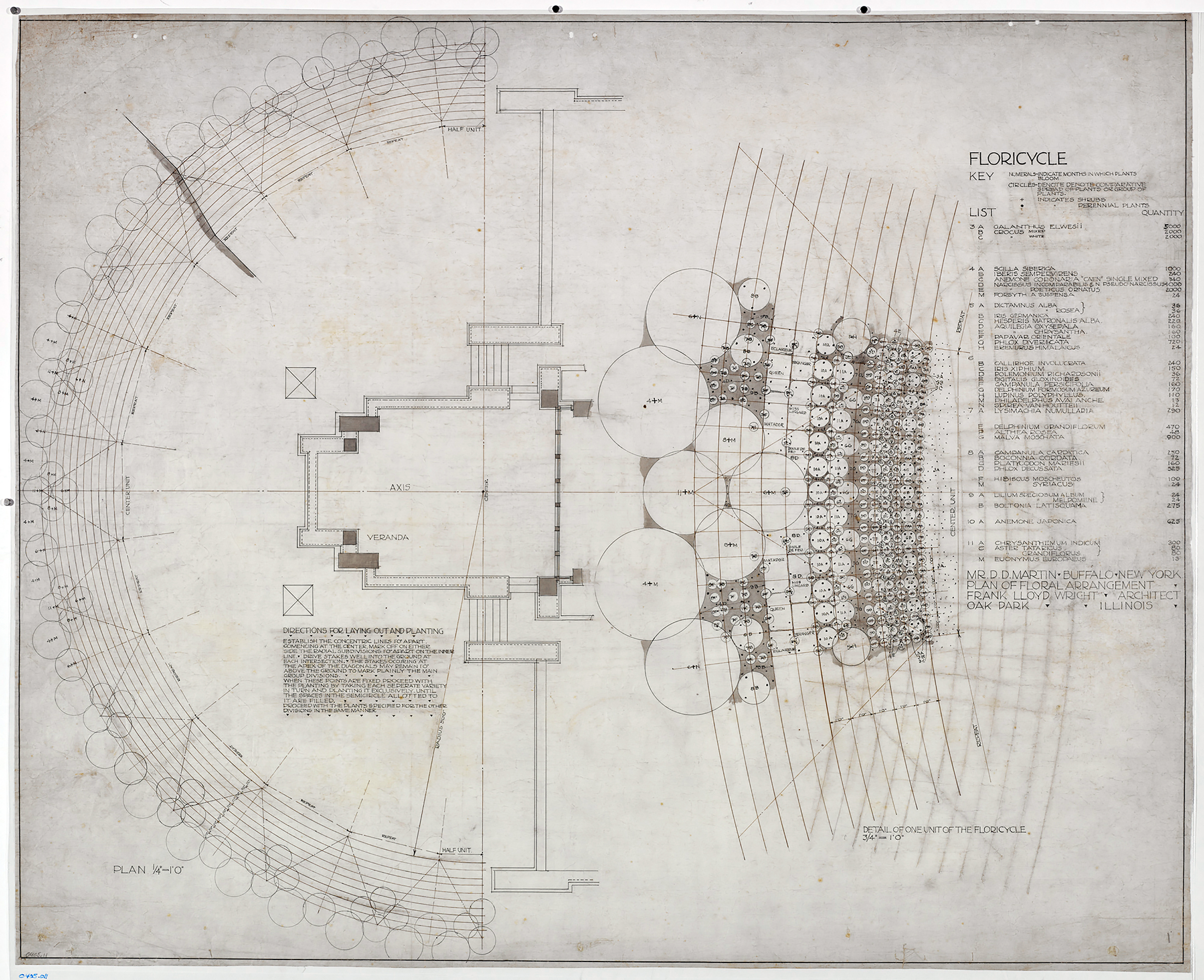 Frank Lloyd Wright (American, 1867–1959). Darwin Martin House, Buffalo, New York. 1903–06. Floricycle. Ink on drafting cloth.