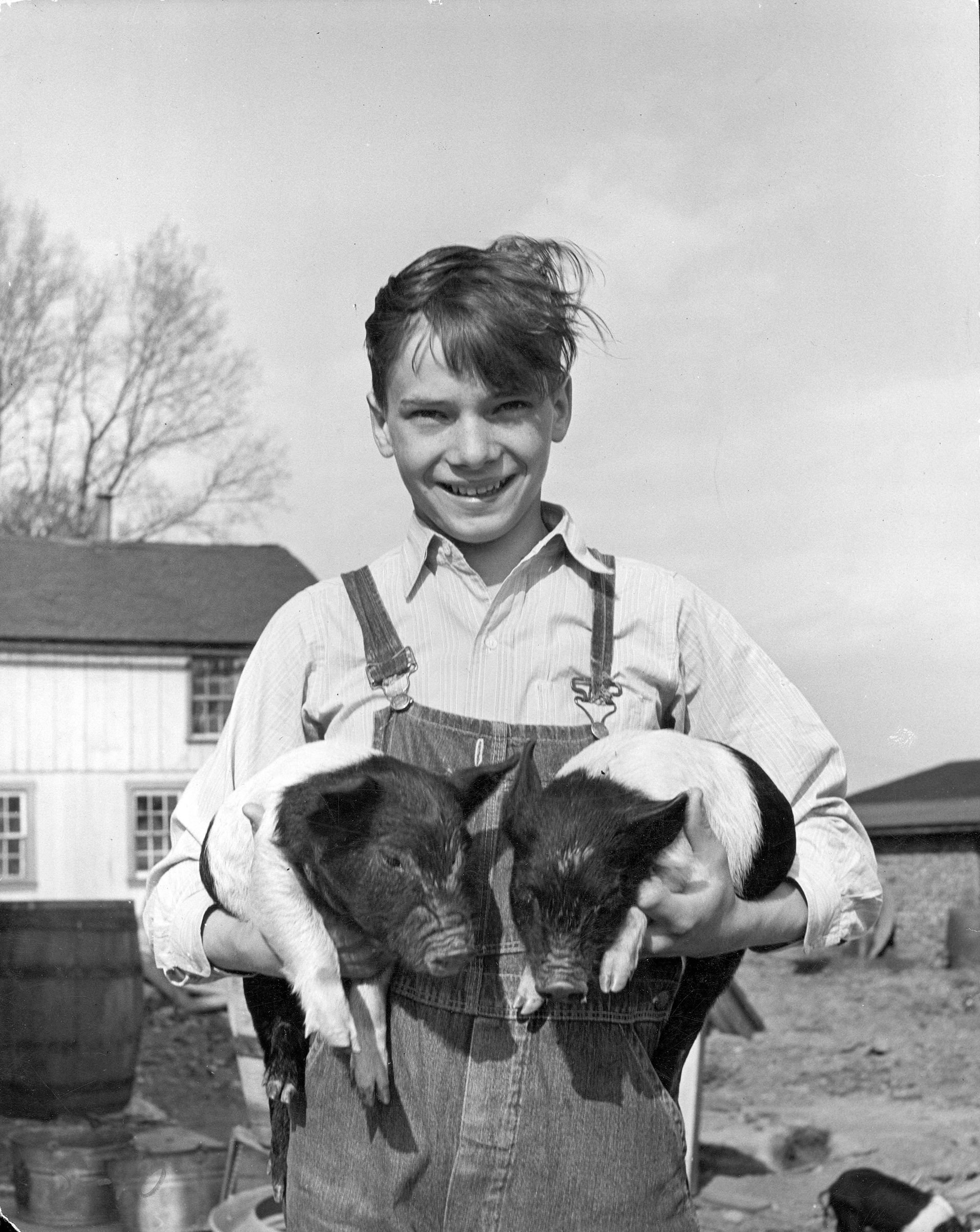 A farmer's son holding a pair of Hampshire piglets on farm in Lancaster County, Pennsylvania, 1943.