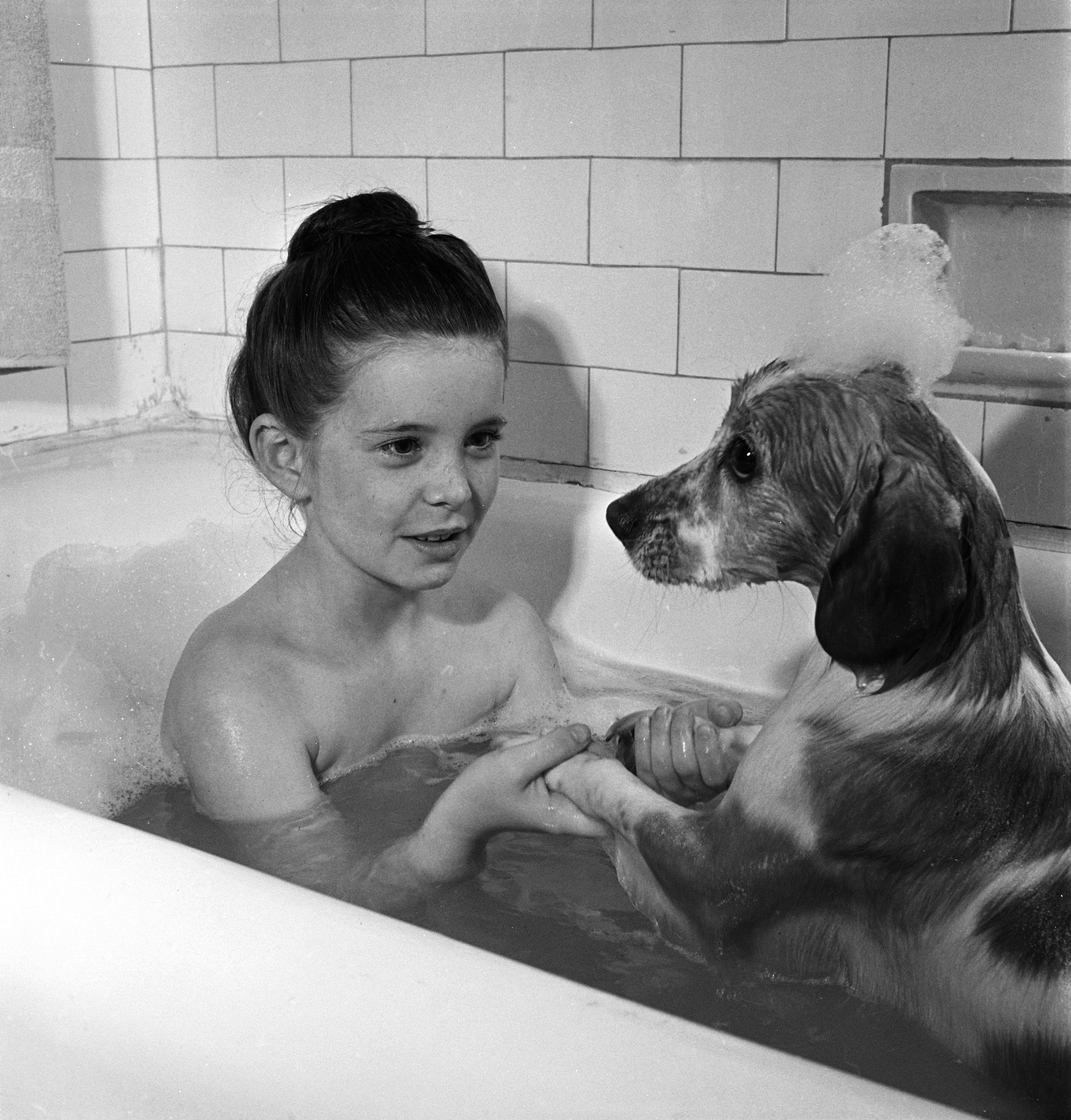Child actress Margaret O'Brien and her spaniel pet Maggie sharing a bubble bath, Los Angeles, Calif., 1944.