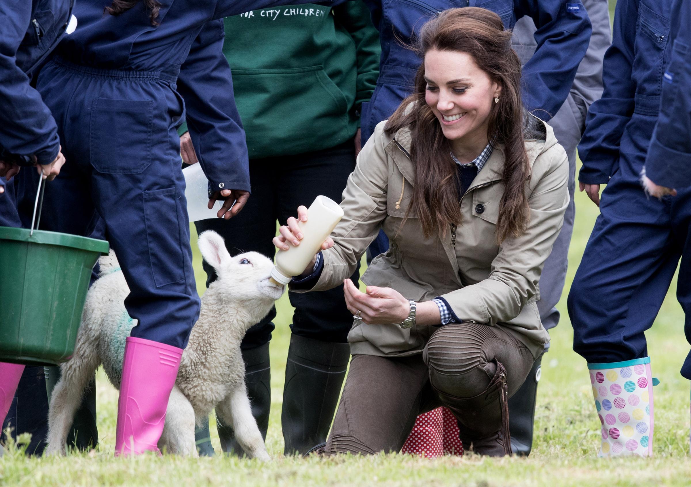 Catherine, Duchess of Cambridge feeds "Stinky" the lamb during a visit to Author Michael Morpurgo's Farms for City Children in Arlingham, Gloucestershire, on May 3, 2017.