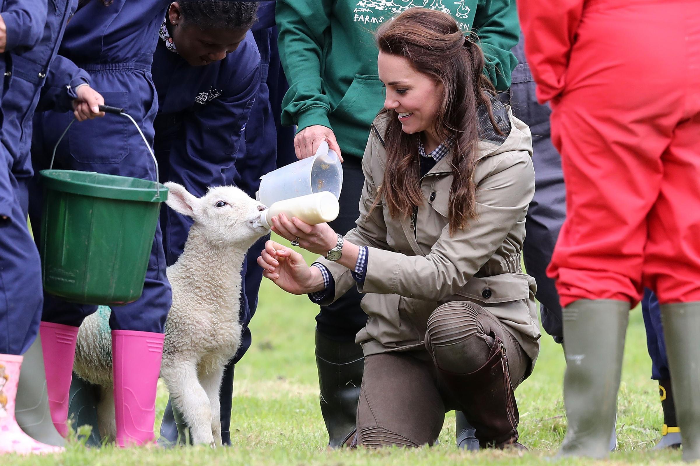 Catherine, Duchess of Cambridge feeds "Stinky" the lamb during a visit to Author Michael Morpurgo's Farms for City Children in Arlingham, Gloucestershire, on May 3, 2017.