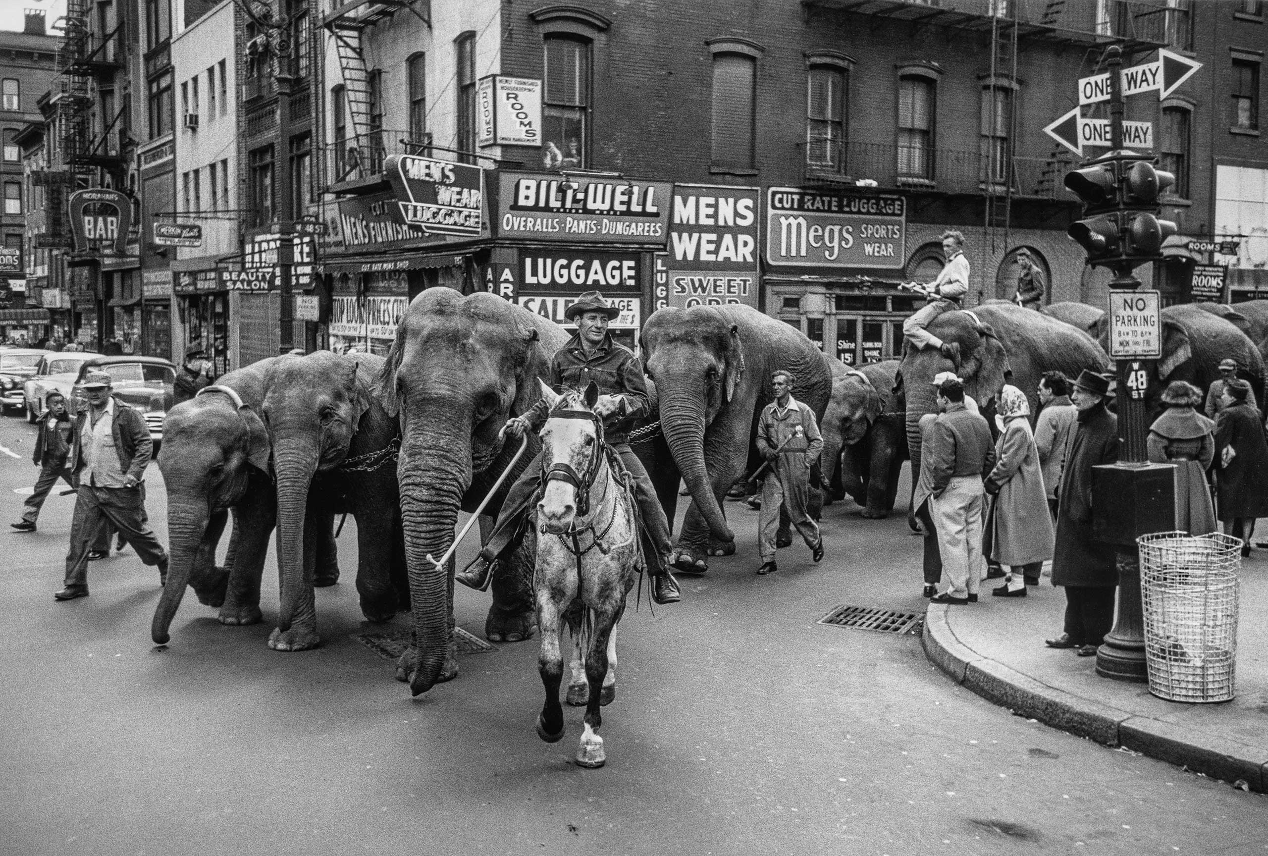 Circus, New York, 1954.