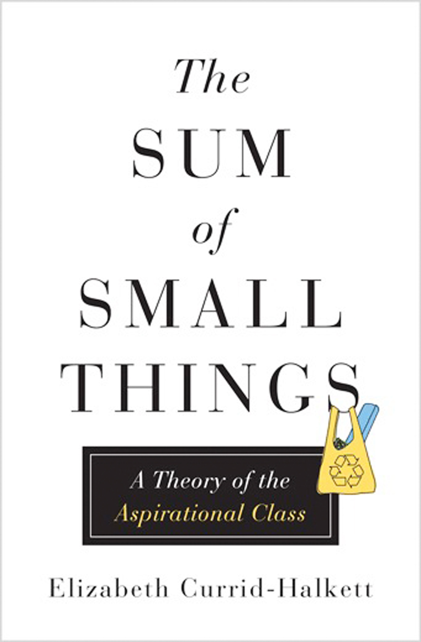 new-conspicuous-consumption-book-sum-small-things