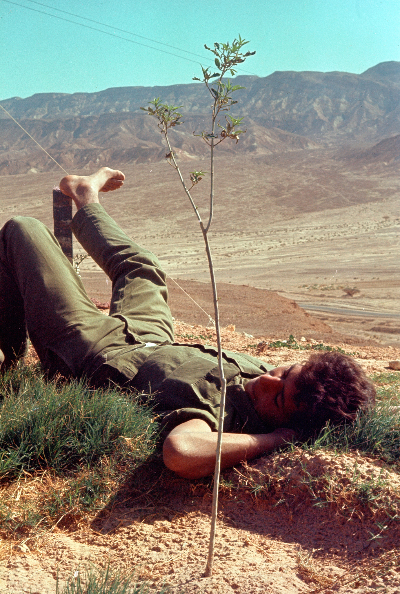 An Israeli man rests beside a newly planted tree, 1965.