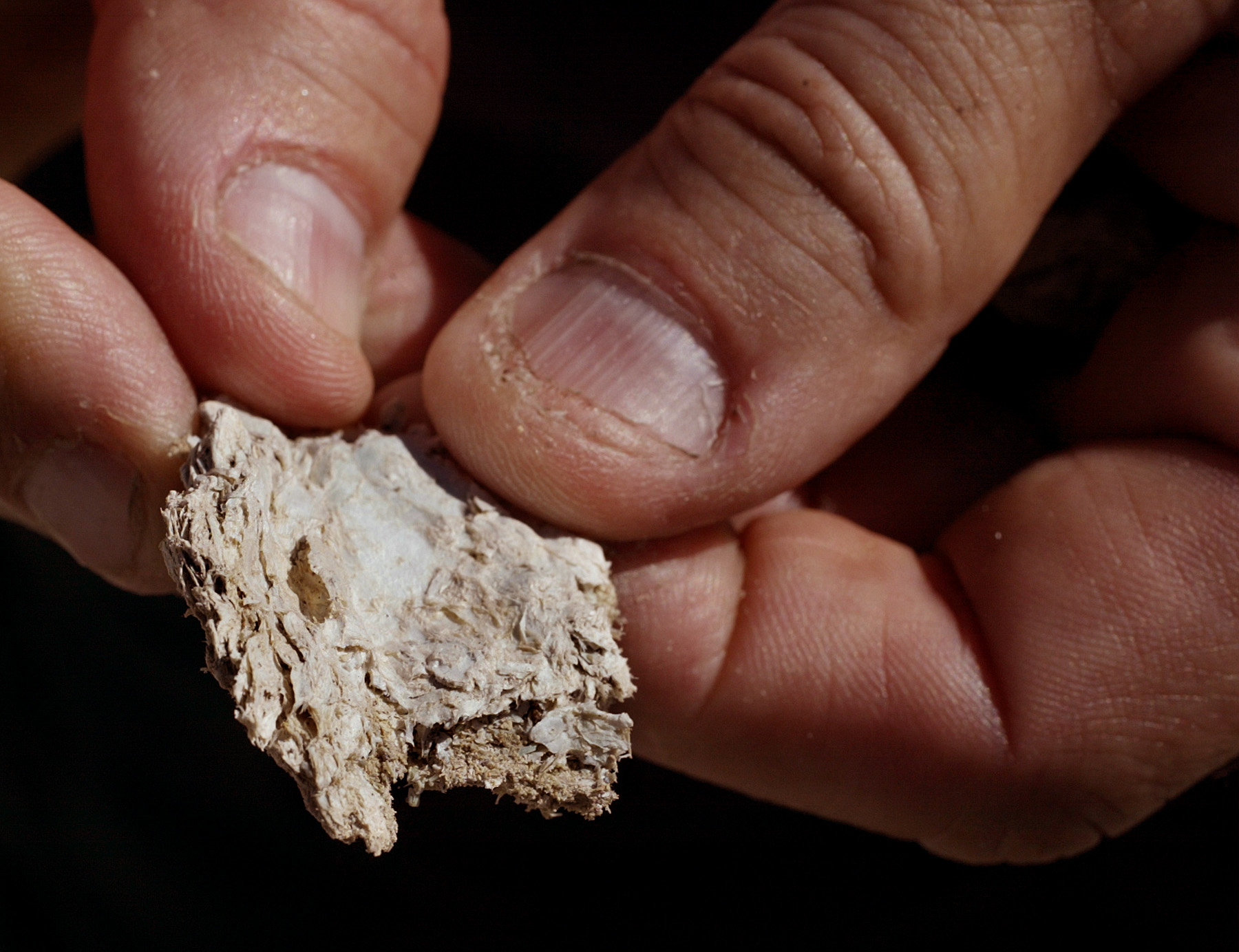 Tim Moore, of the U.S. Bureau of Land Management, holds a piece of raw asbestos found on the floor of an idle mine in the mountains above the King City, in 2003.  (Photo by Carlos Chavez/Los Angeles Times via Getty Images) (Carlos Chavez&mdash;Los Angeles Times/Getty Images)
