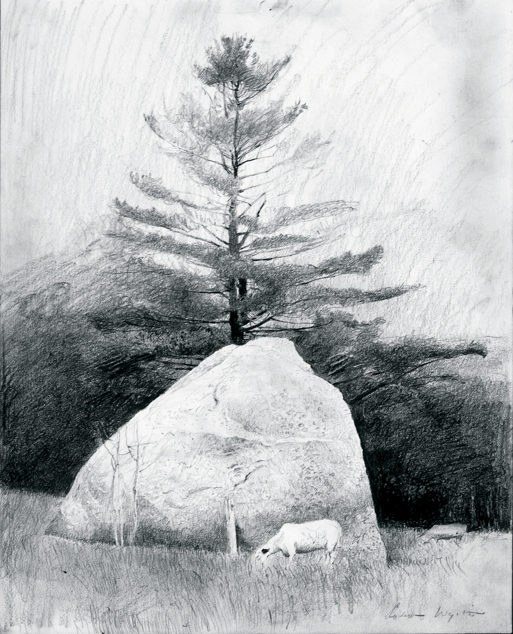 Far From Needham Study, 1966 pencil on paper from The Andrew and Betsy Wyeth Collection.