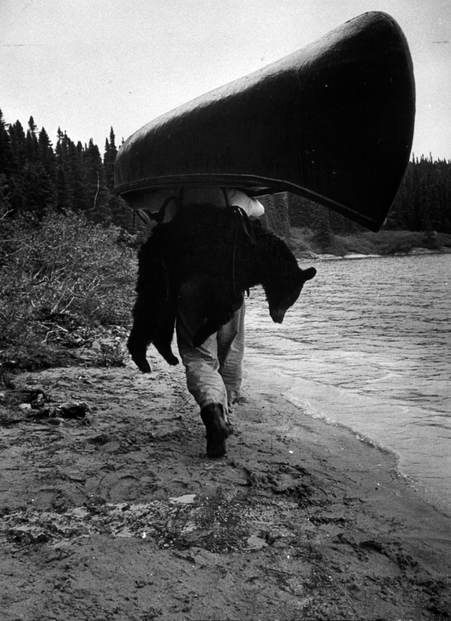 Canadian woodsman Robert Rock in the wild country between Hudson Bay and the St. Lawrence.