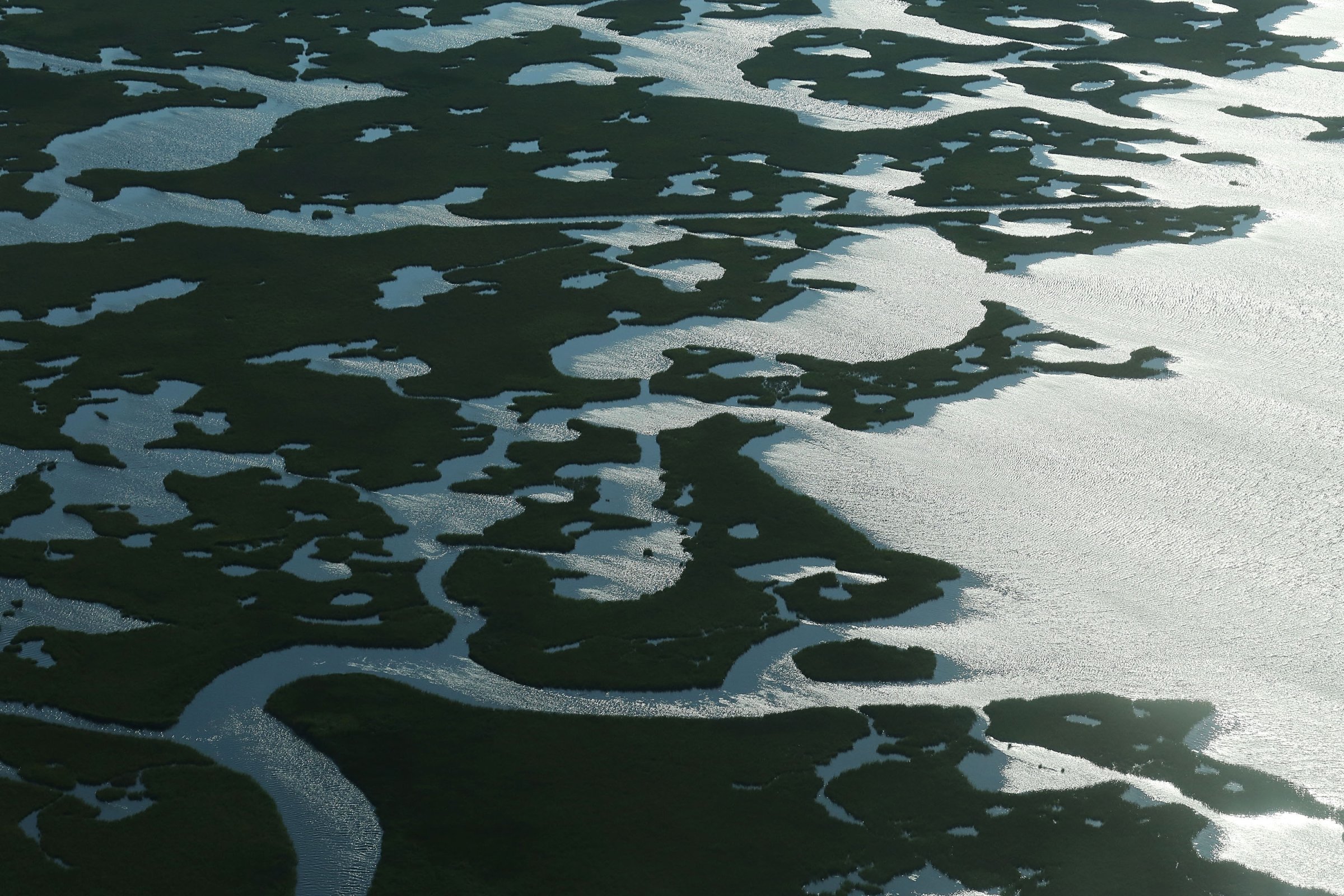 Coastal waters flow through deteriorating wetlands on August 25, 2015 in Saint Bernard Parish, Louisiana.