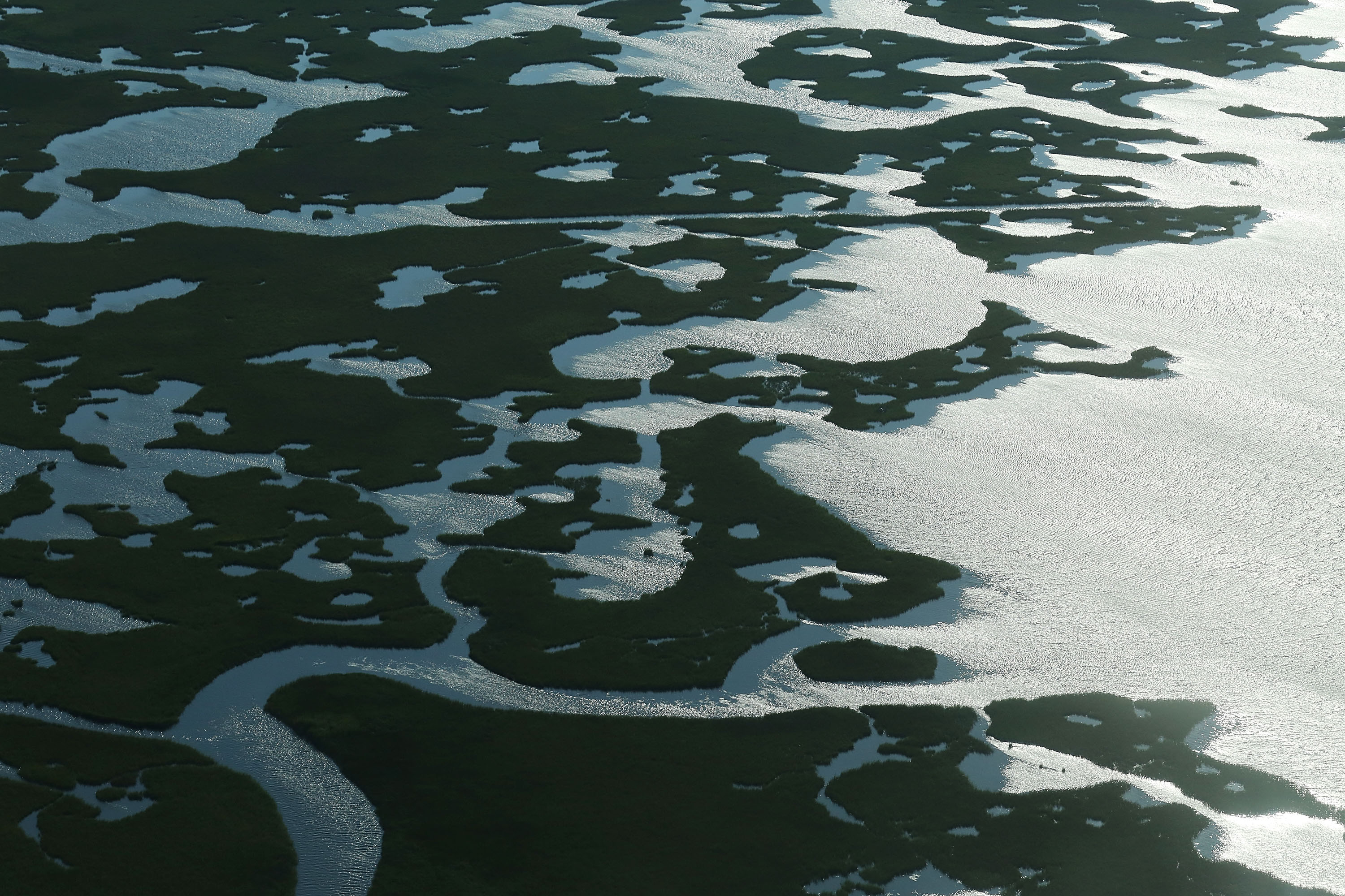 Coastal waters flow through deteriorating wetlands on August 25, 2015 in Saint Bernard Parish, Louisiana. (Mario Tama&mdash;Getty Images)