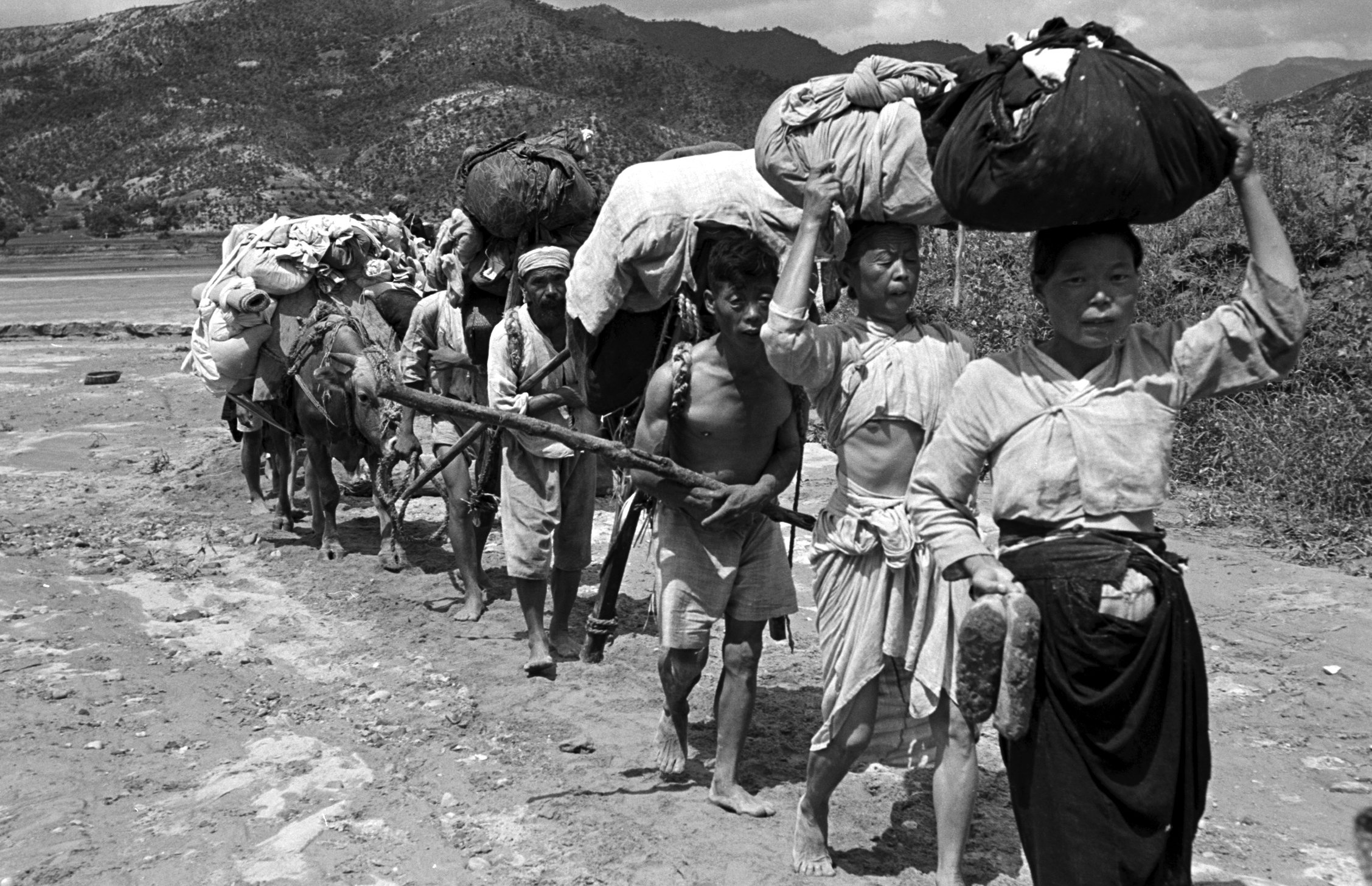 Korean refugees crossing the Naktong River during the Korean war, 1950.