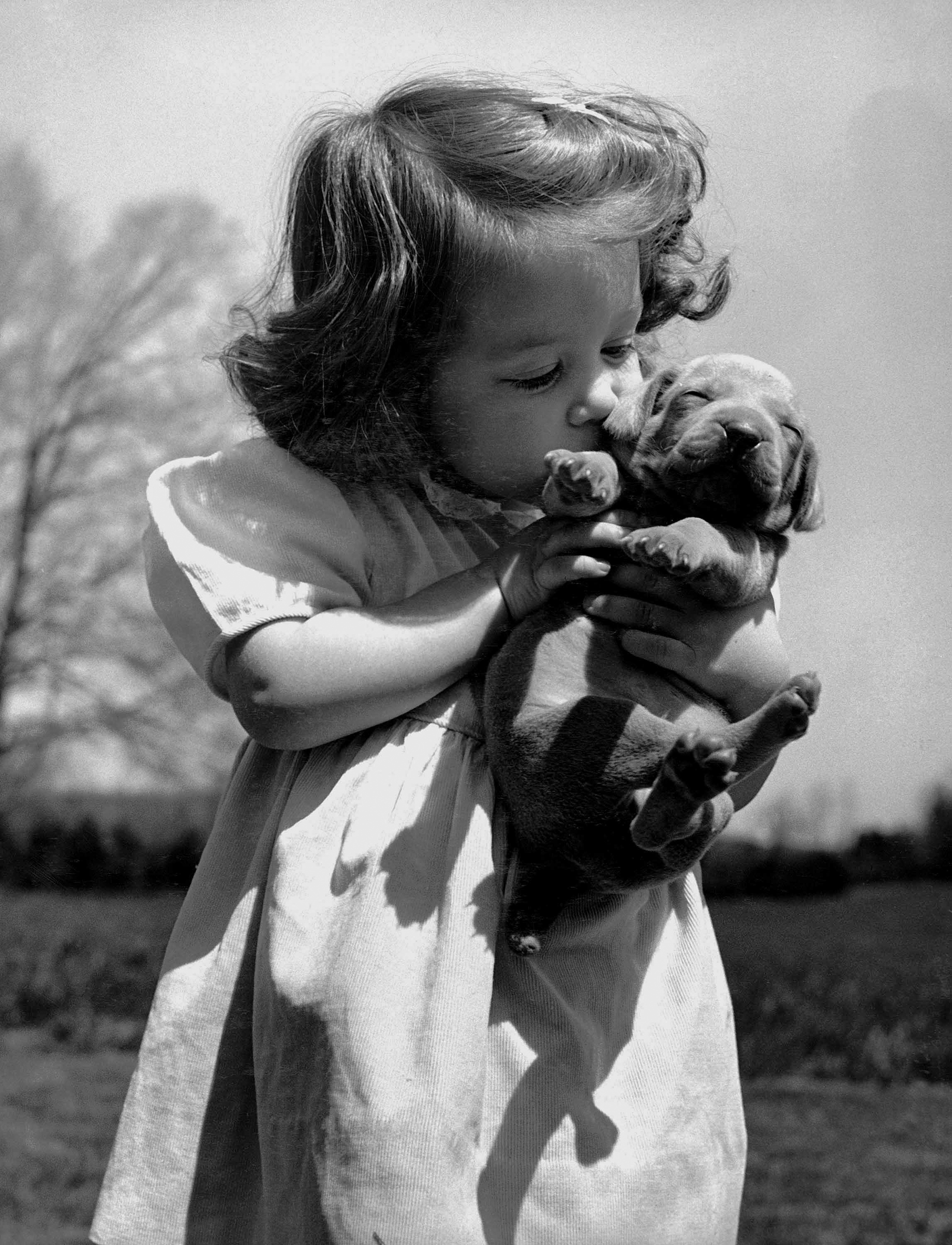 Christina Goldsmith tenderly kissing a Weimaraner puppy, which she took from a new litter of her father's stock since he is a top breeder of Weimaraner hunting dogs. 1950.