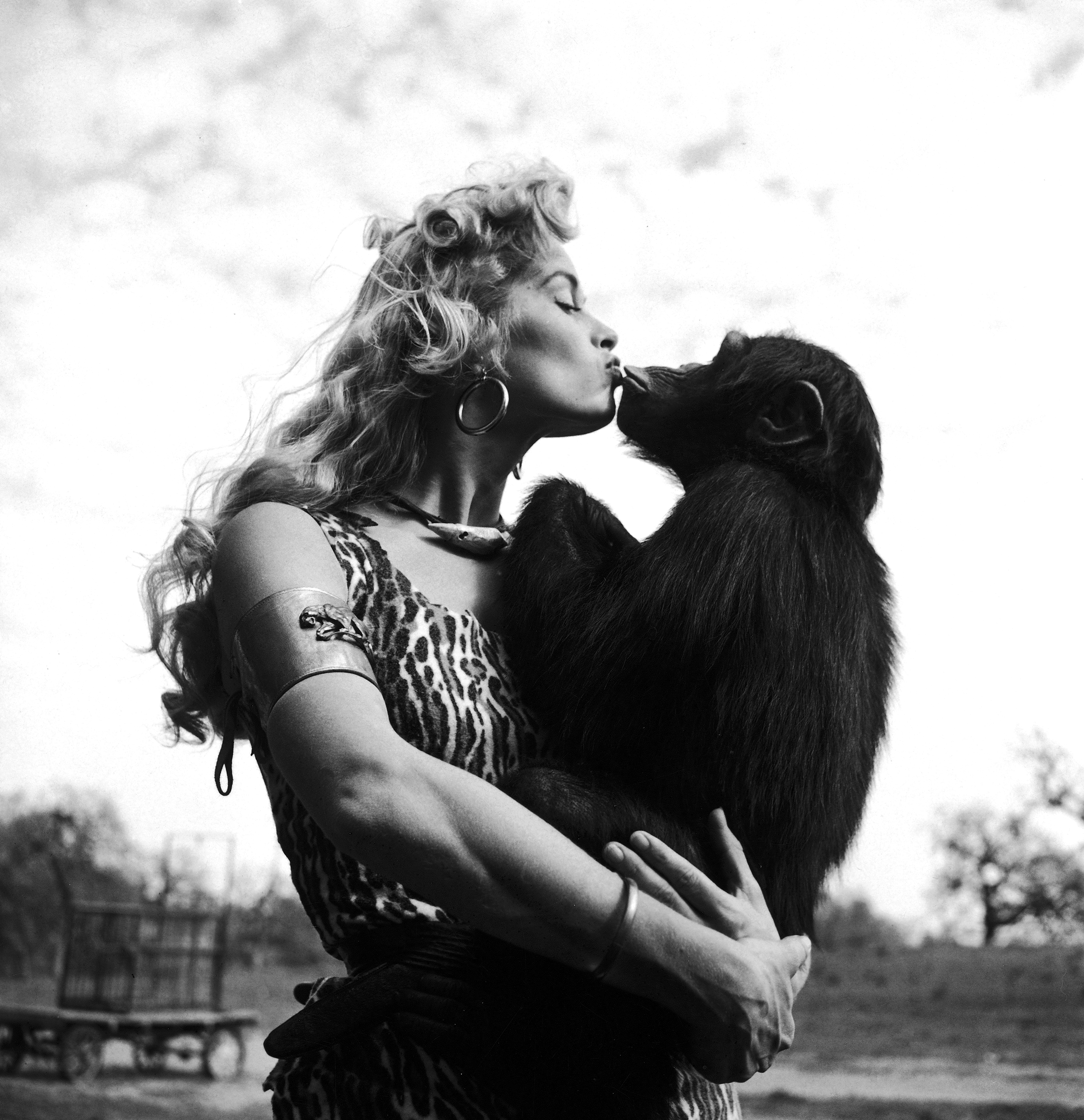 Irish McCalla as "Sheena Queen of the Jungle" kissing her chimpanzee costar. 1955.