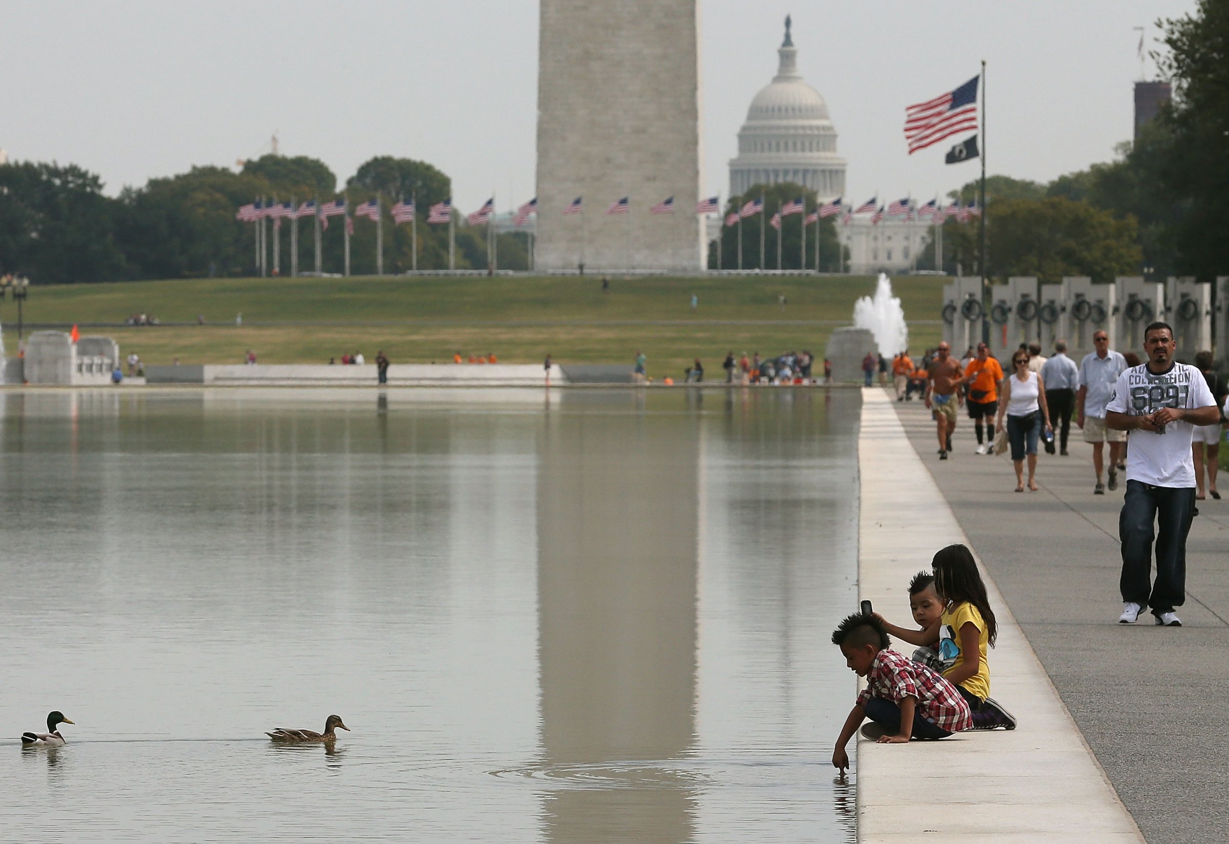Algae Problem At Lincoln Memorial Reflecting Pool Not Subsiding