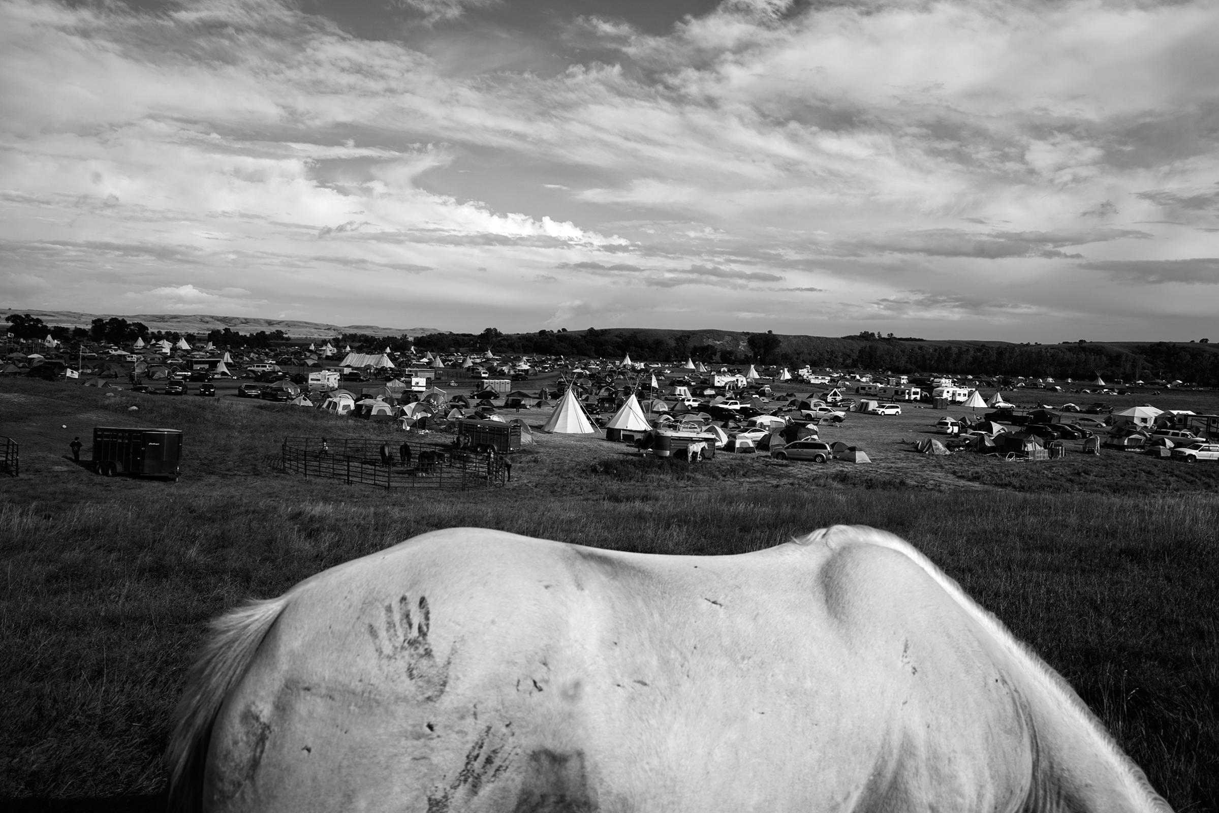 protest-cannon-ball-north-dakota-sioux-protest-camp-larry-towell-magnum